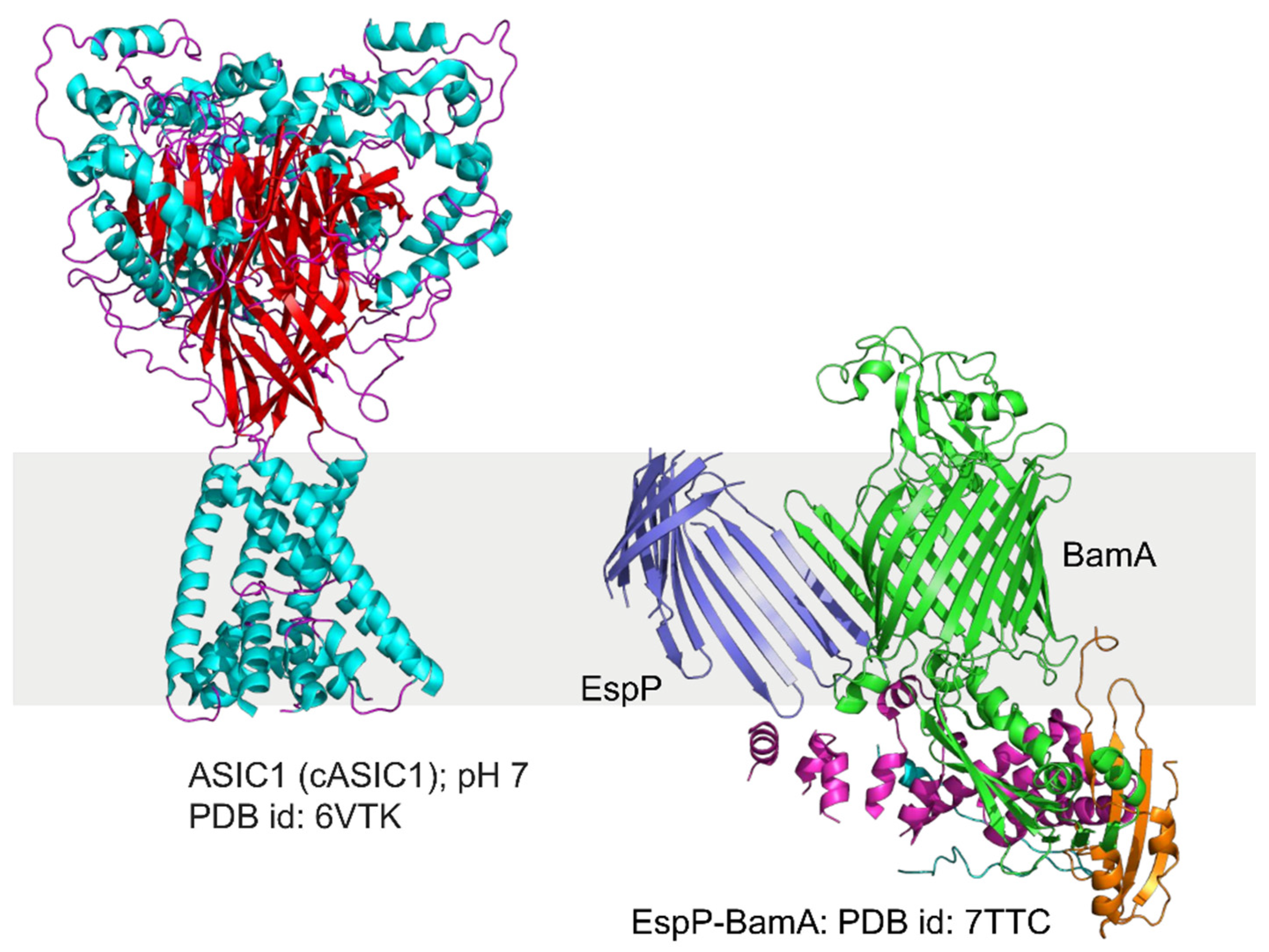 Biomolecules 12 01076 g008b Biomolecules 12 01076 g008b