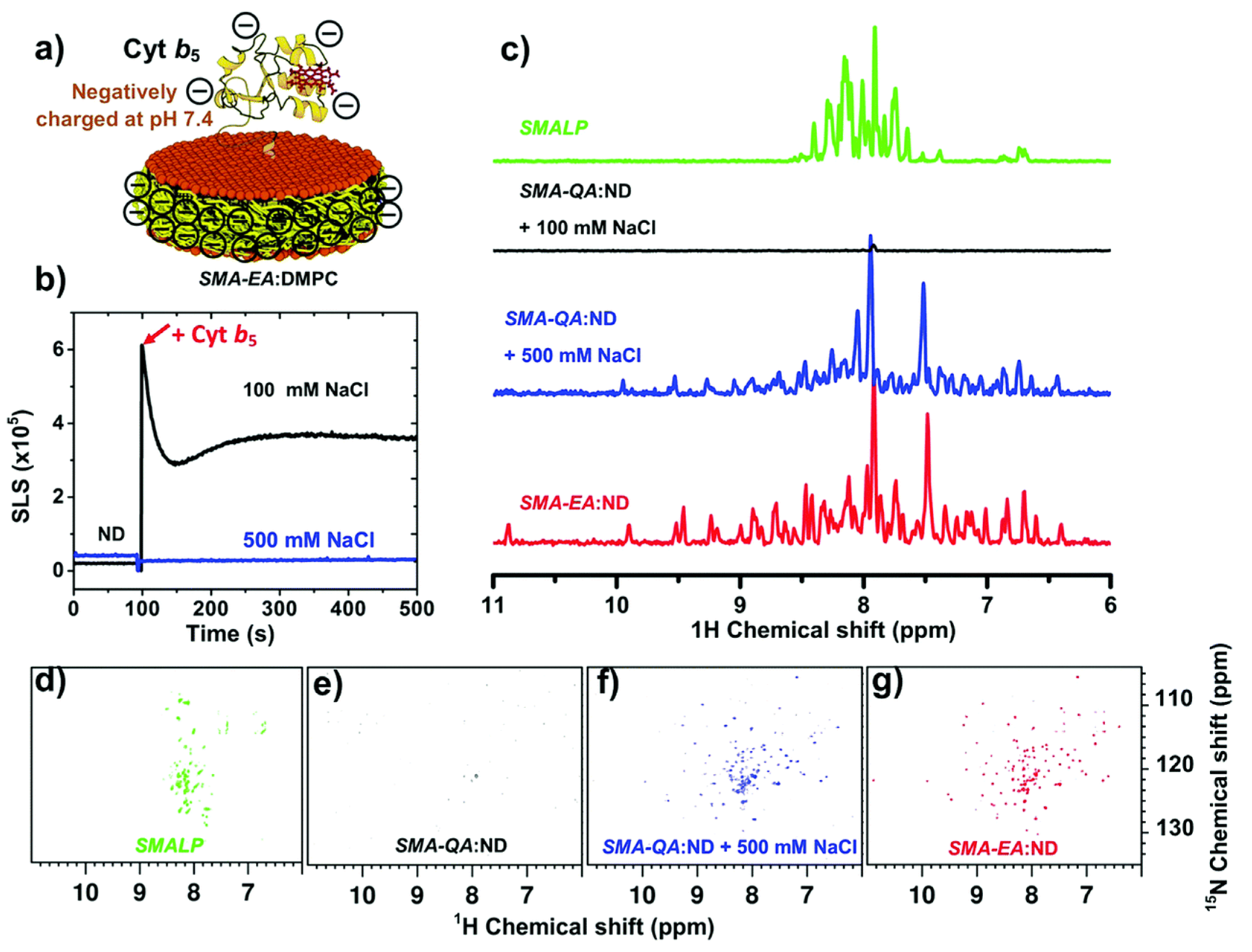 Biomolecules 12 01076 g012 Biomolecules 12 01076 g012