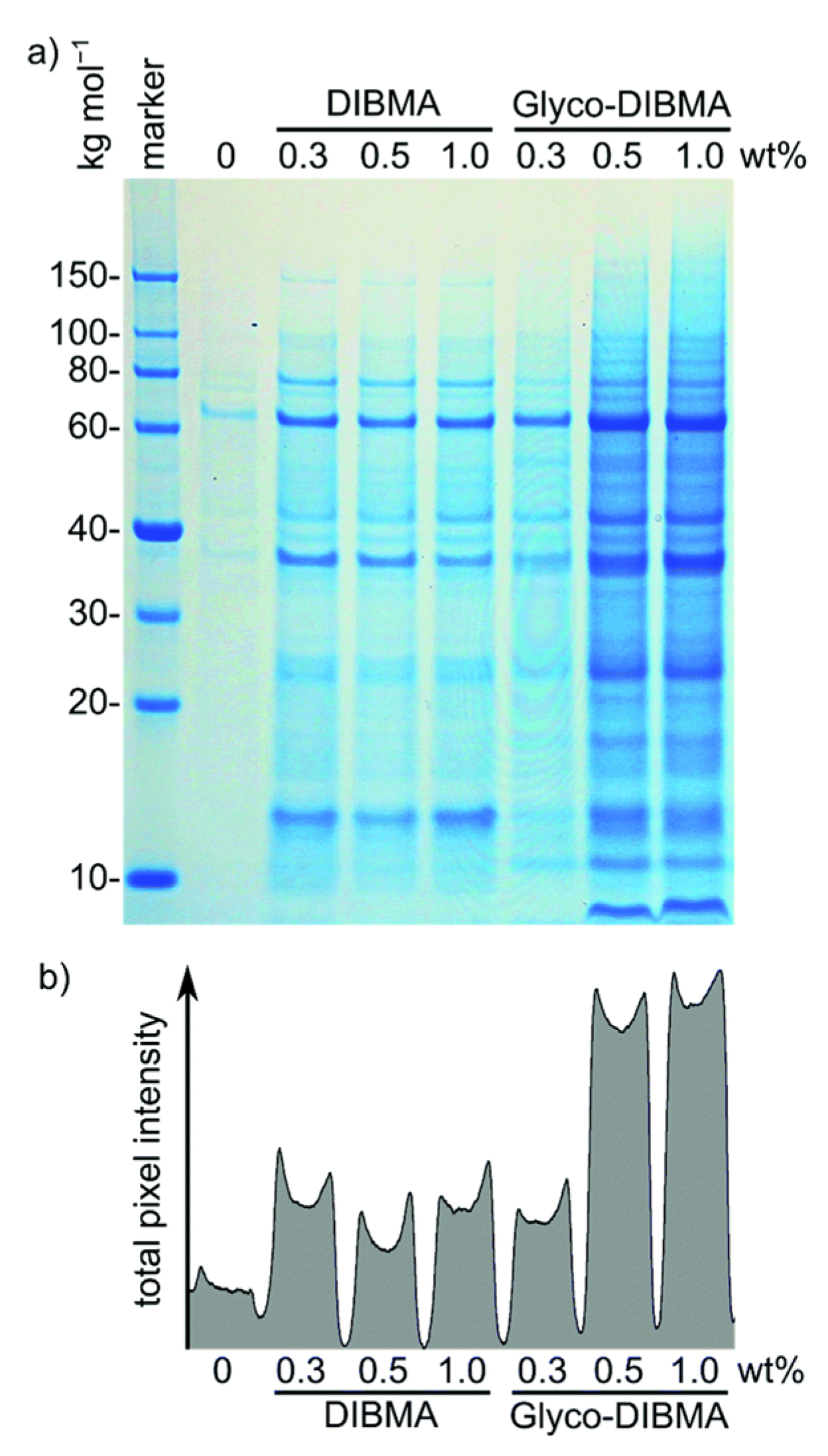 Biomolecules 12 01076 g013 Biomolecules 12 01076 g013