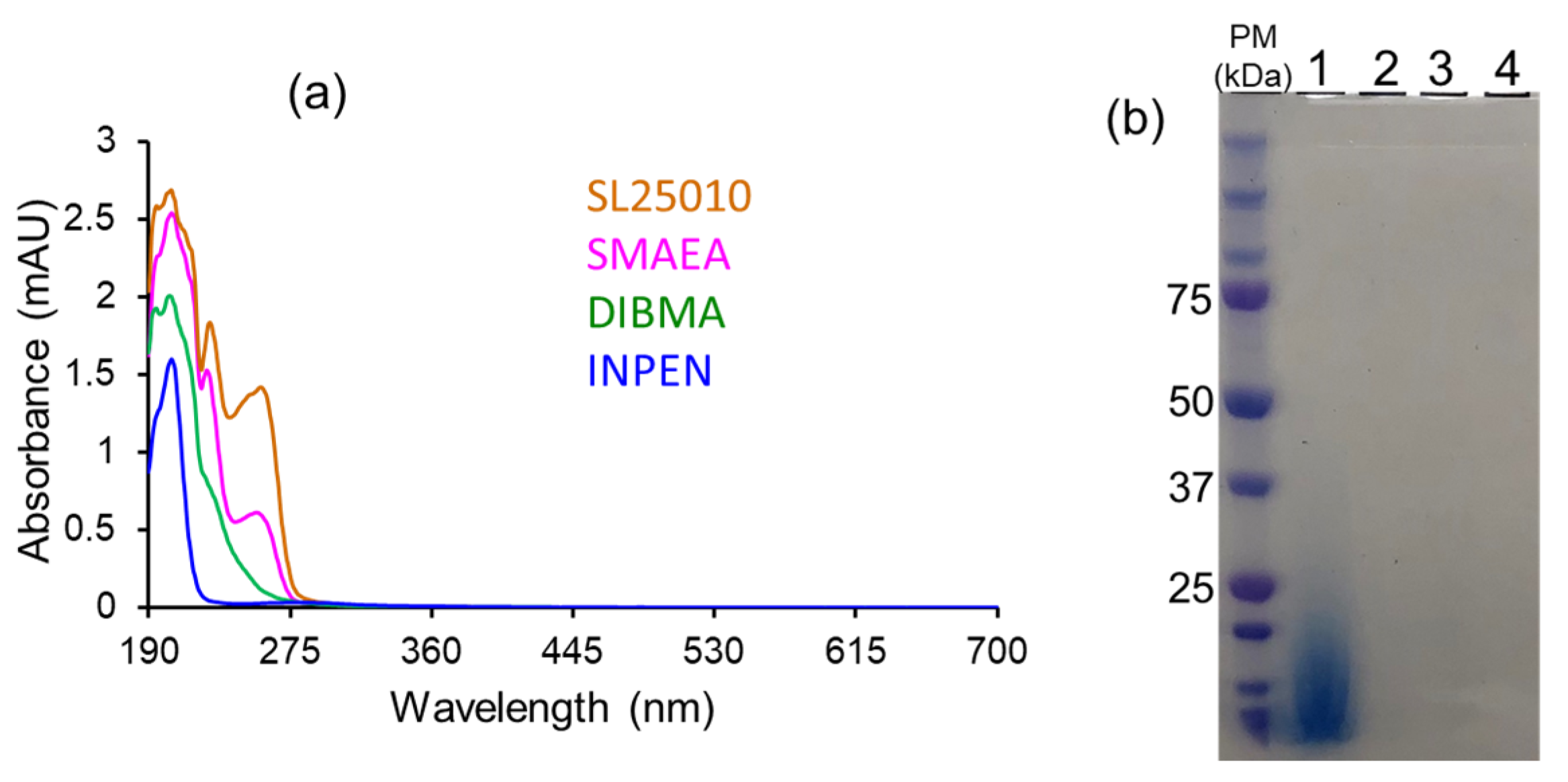 Biomolecules 12 01076 g016 Biomolecules 12 01076 g016