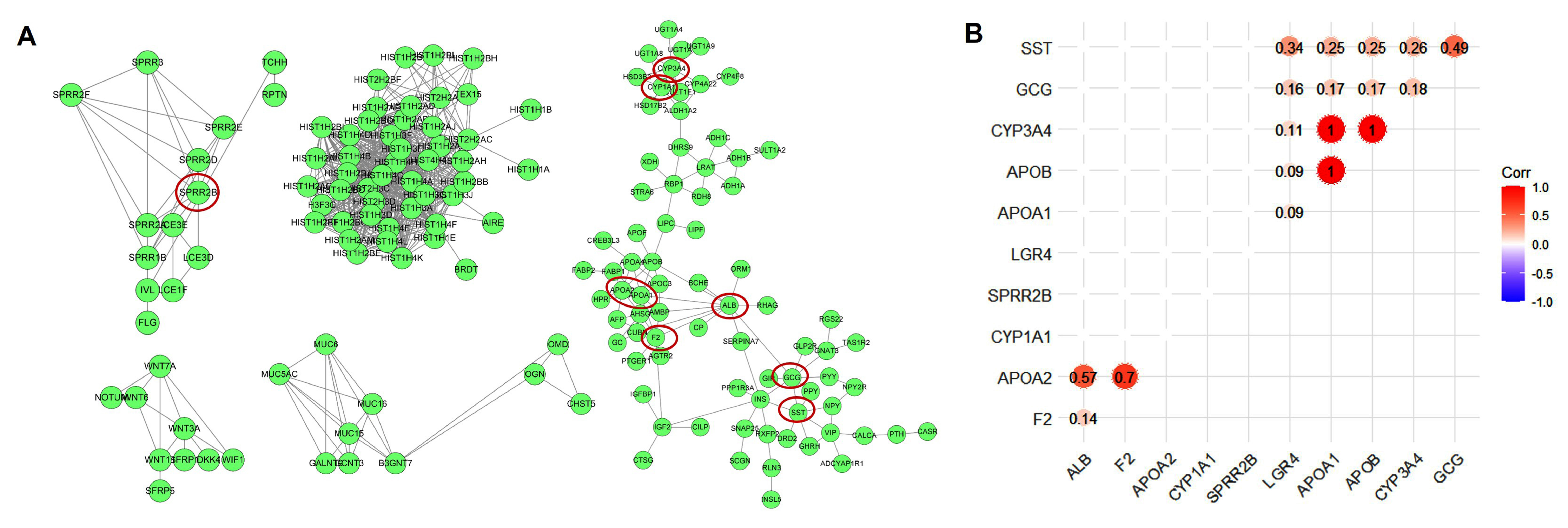 Biomolecules 12 01081 g004 550