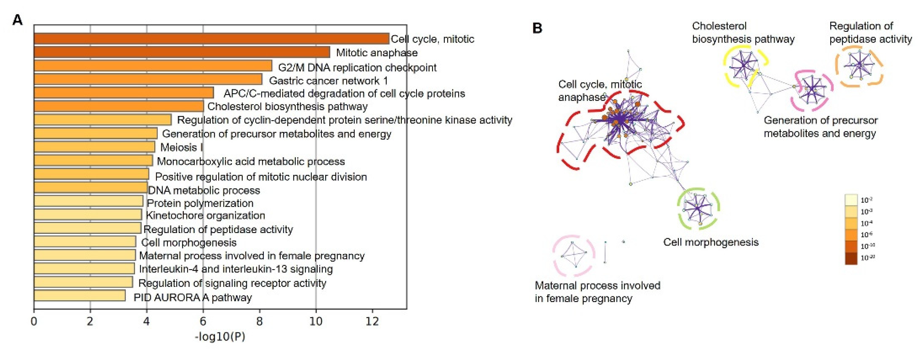 Biomolecules 12 01081 g005 550