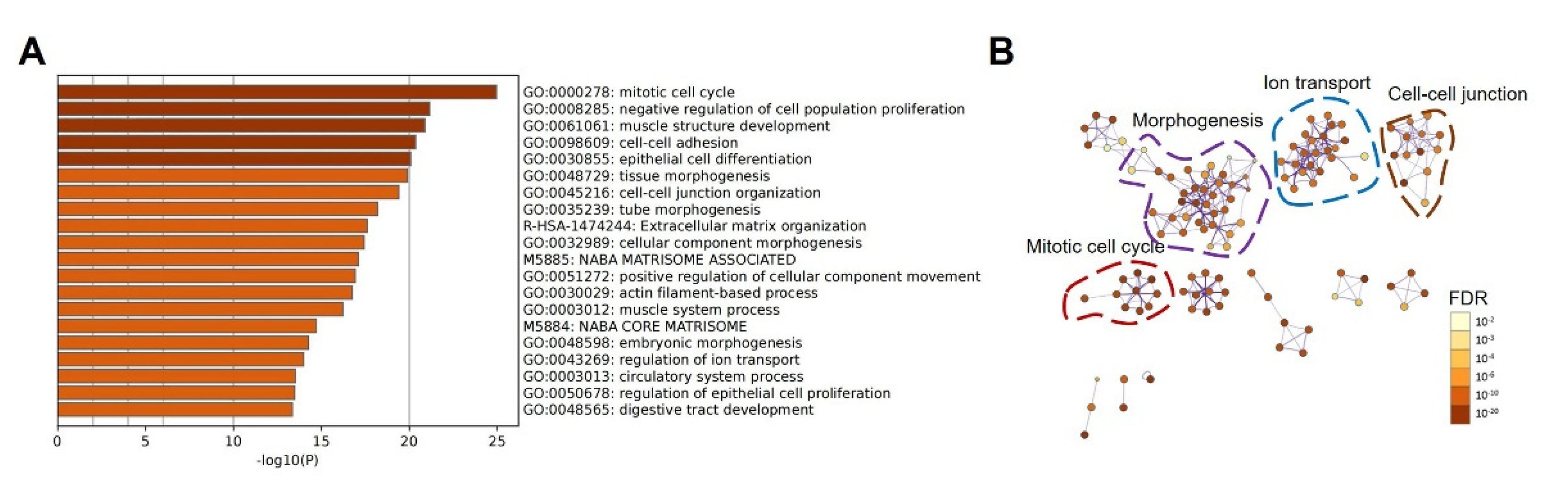 Biomolecules 12 01081 g006 550