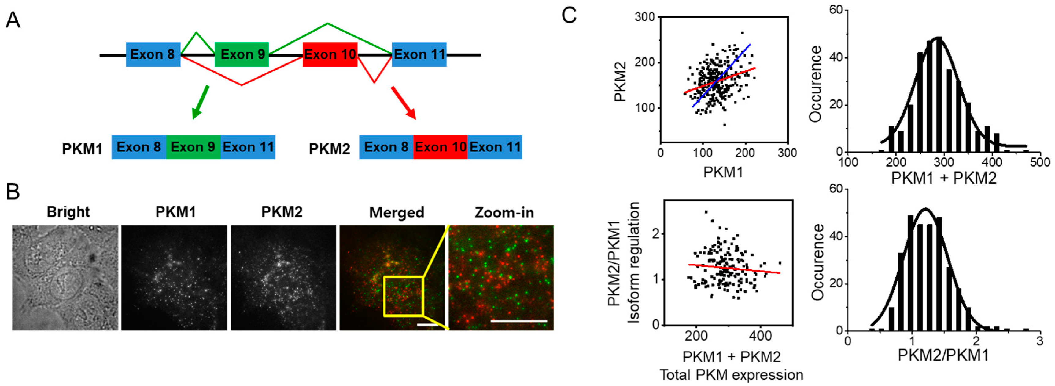 Biomolecules 12 01082 g001 Biomolecules 12 01082 g001