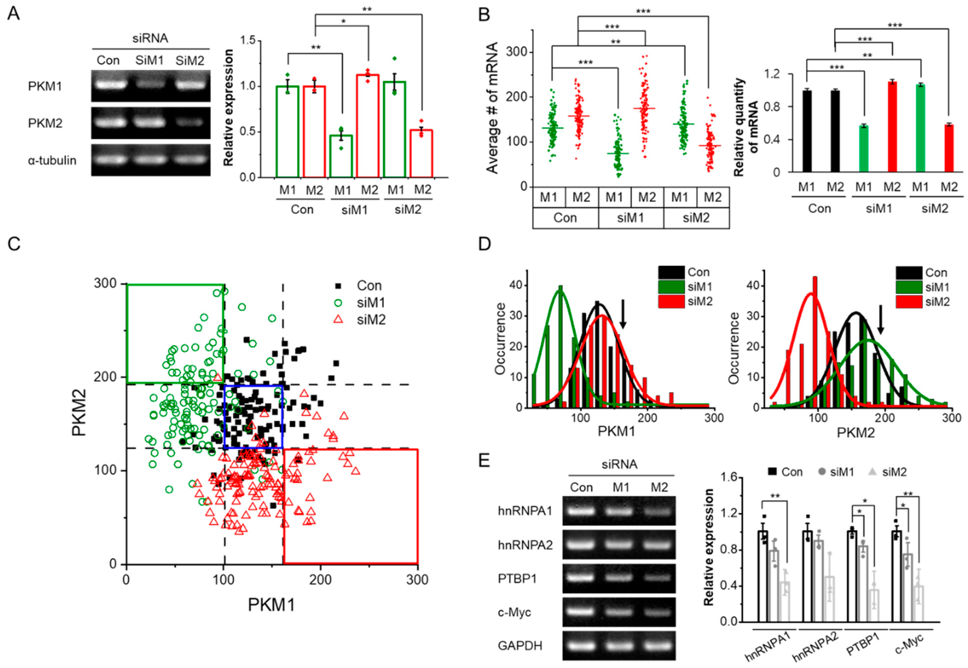 Biomolecules 12 01082 g002 Biomolecules 12 01082 g002