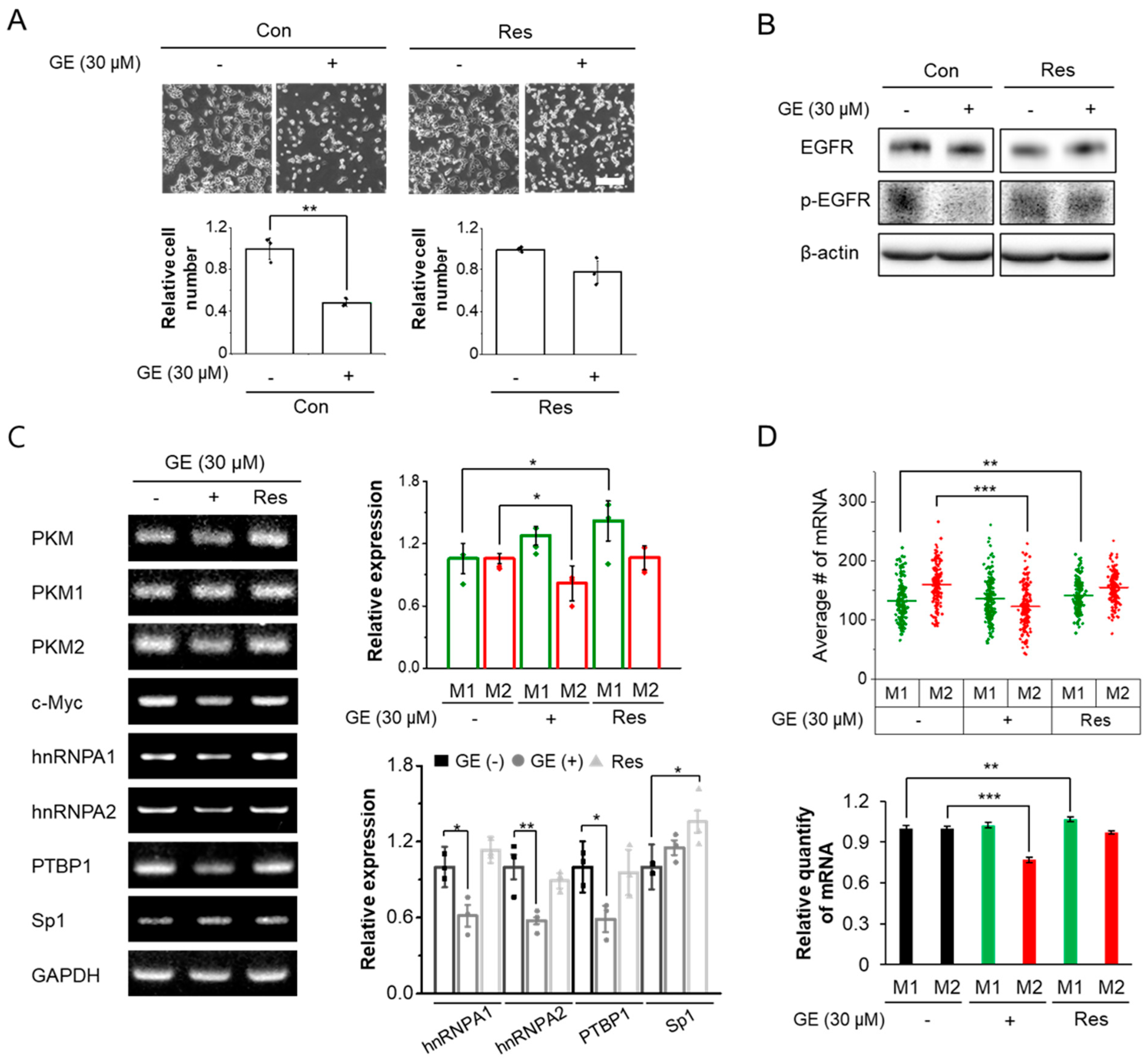 Biomolecules 12 01082 g003 Biomolecules 12 01082 g003