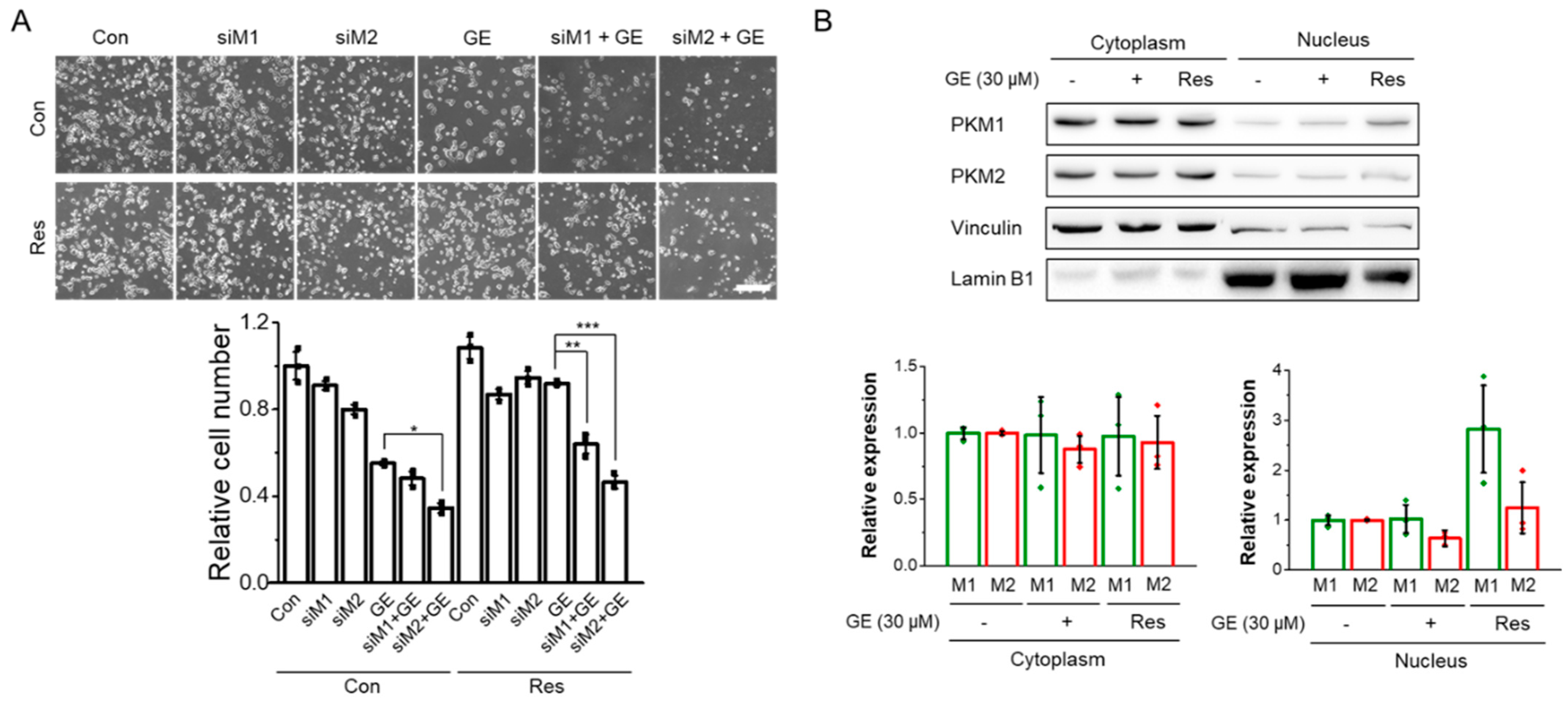 Biomolecules 12 01082 g005 Biomolecules 12 01082 g005