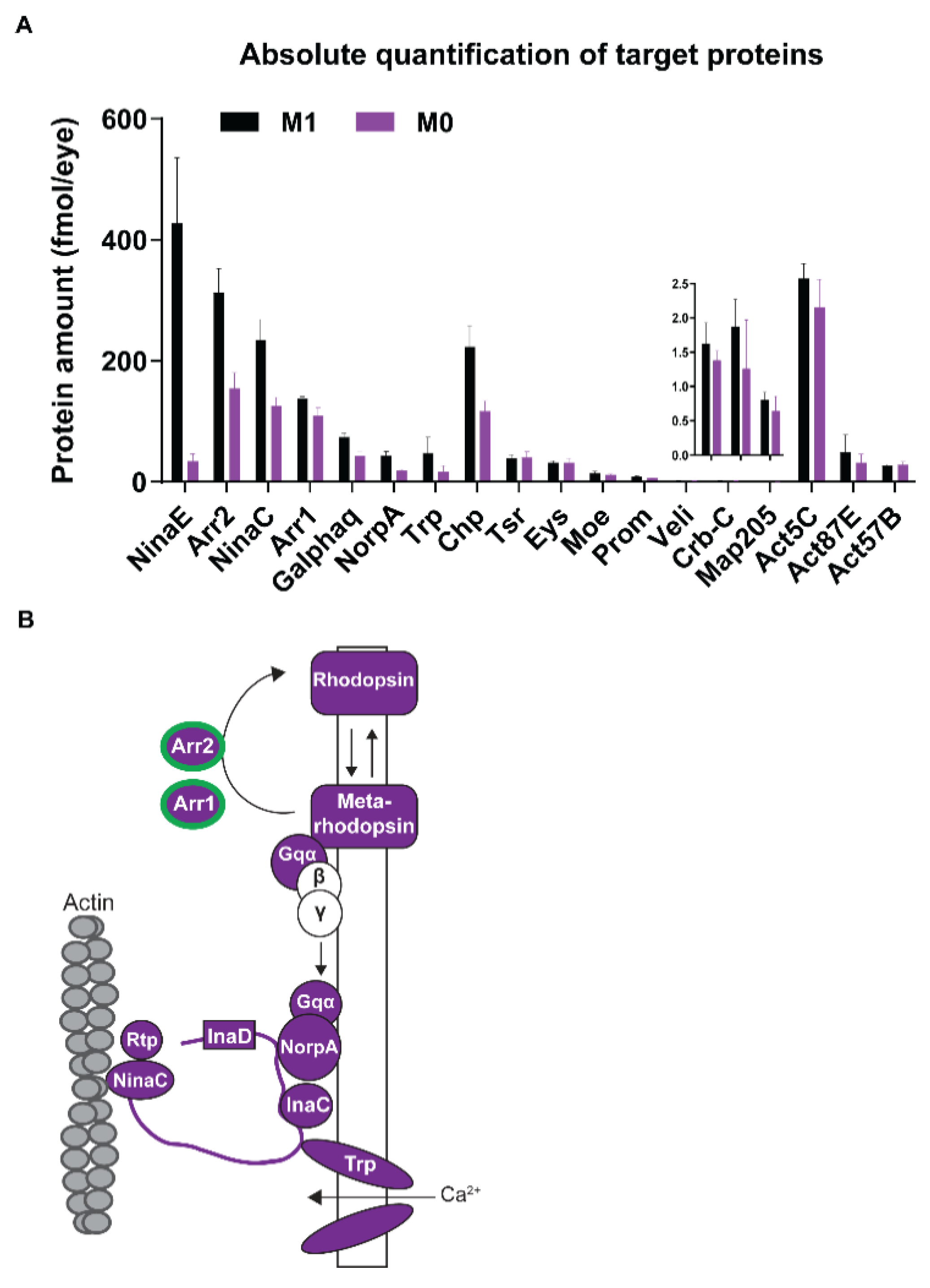 Biomolecules 12 01083 g005