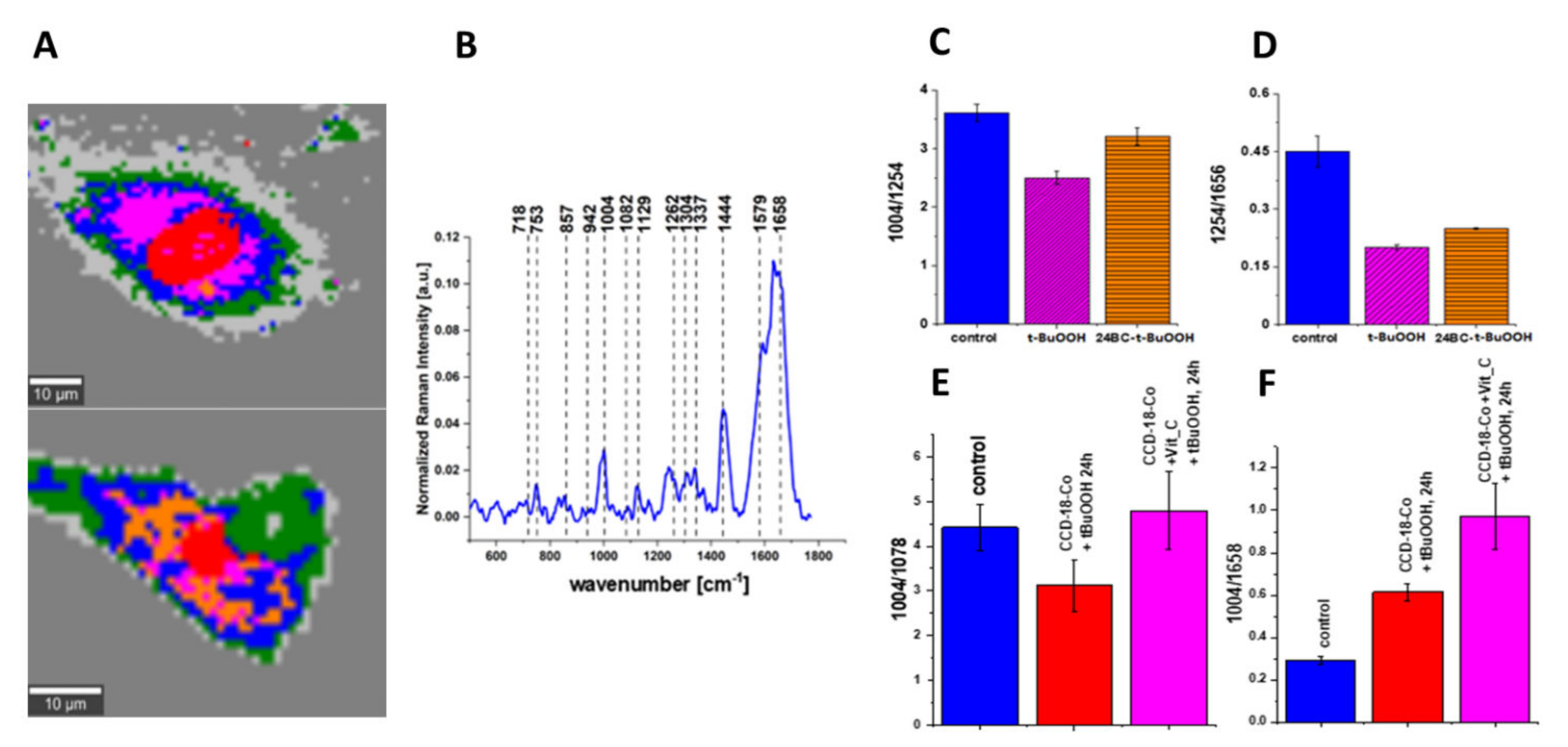 Biomolecules 12 01087 g008 Biomolecules 12 01087 g008