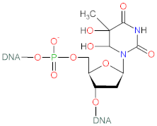 Biomolecules 12 01087 i009 Biomolecules 12 01087 i009