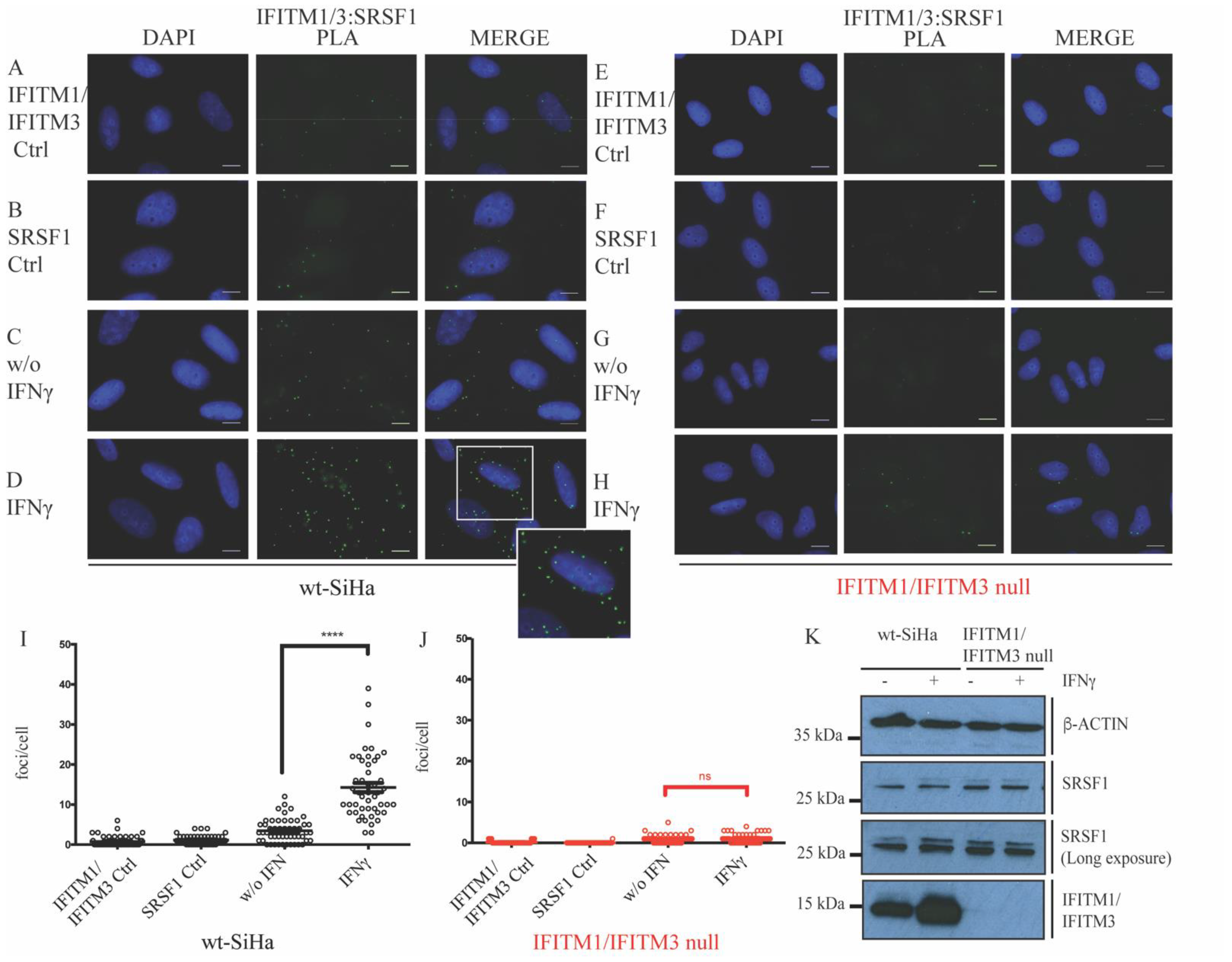 Biomolecules 12 01090 g001 550