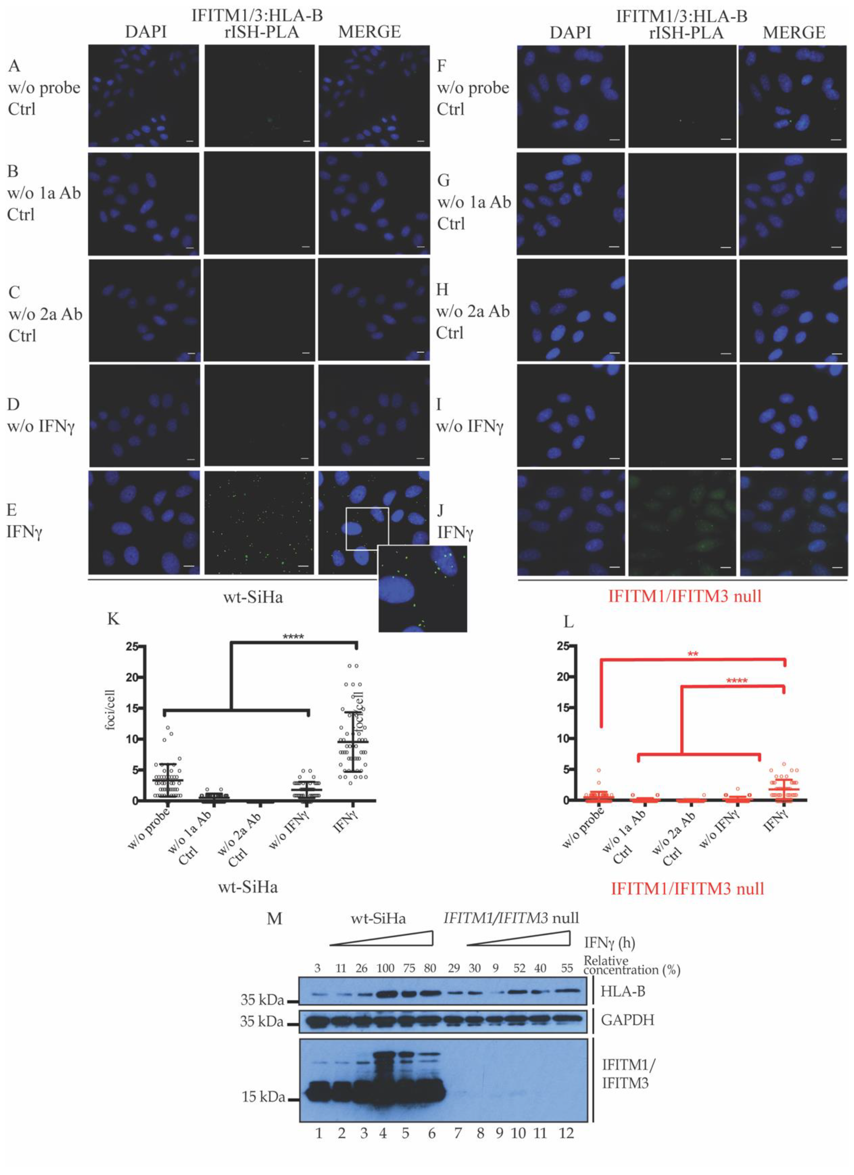 Biomolecules 12 01090 g002 550