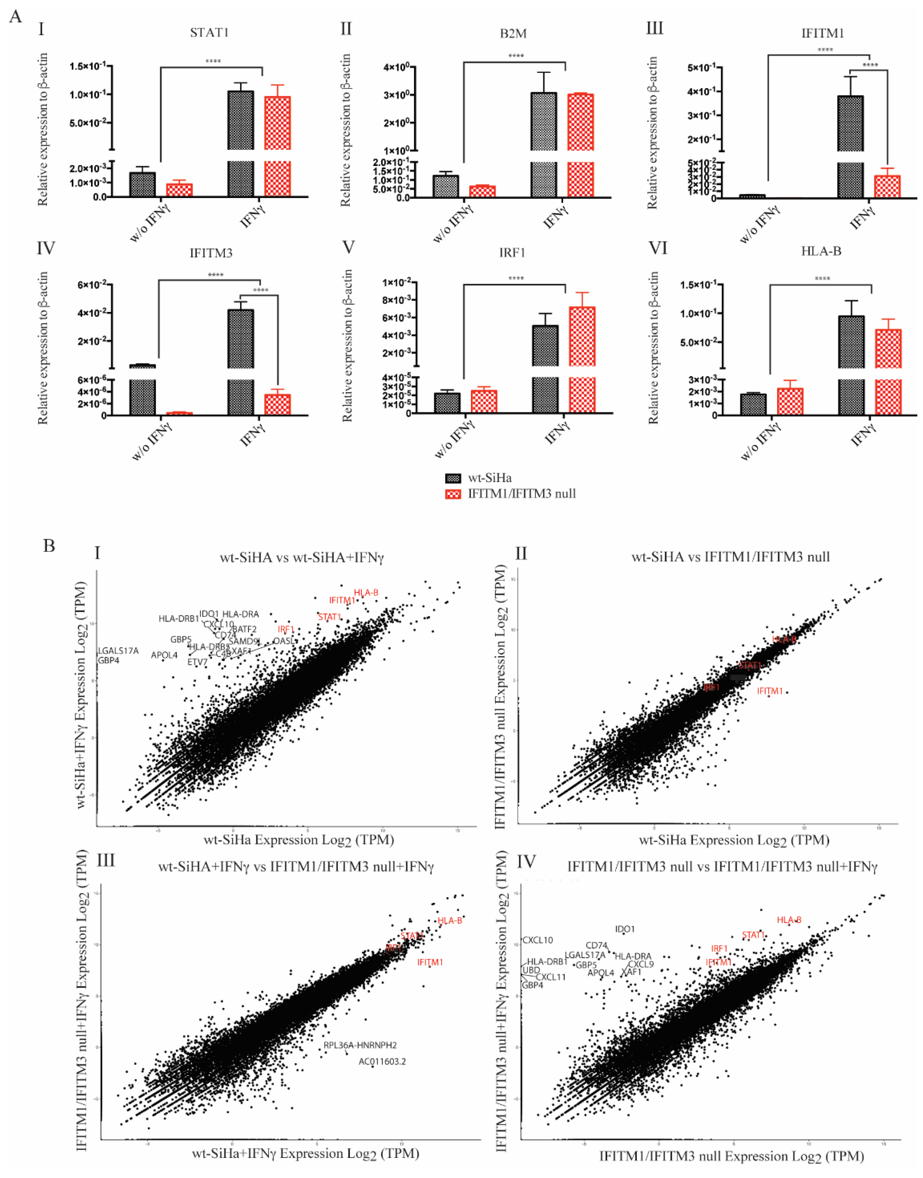 Biomolecules 12 01090 g003 550