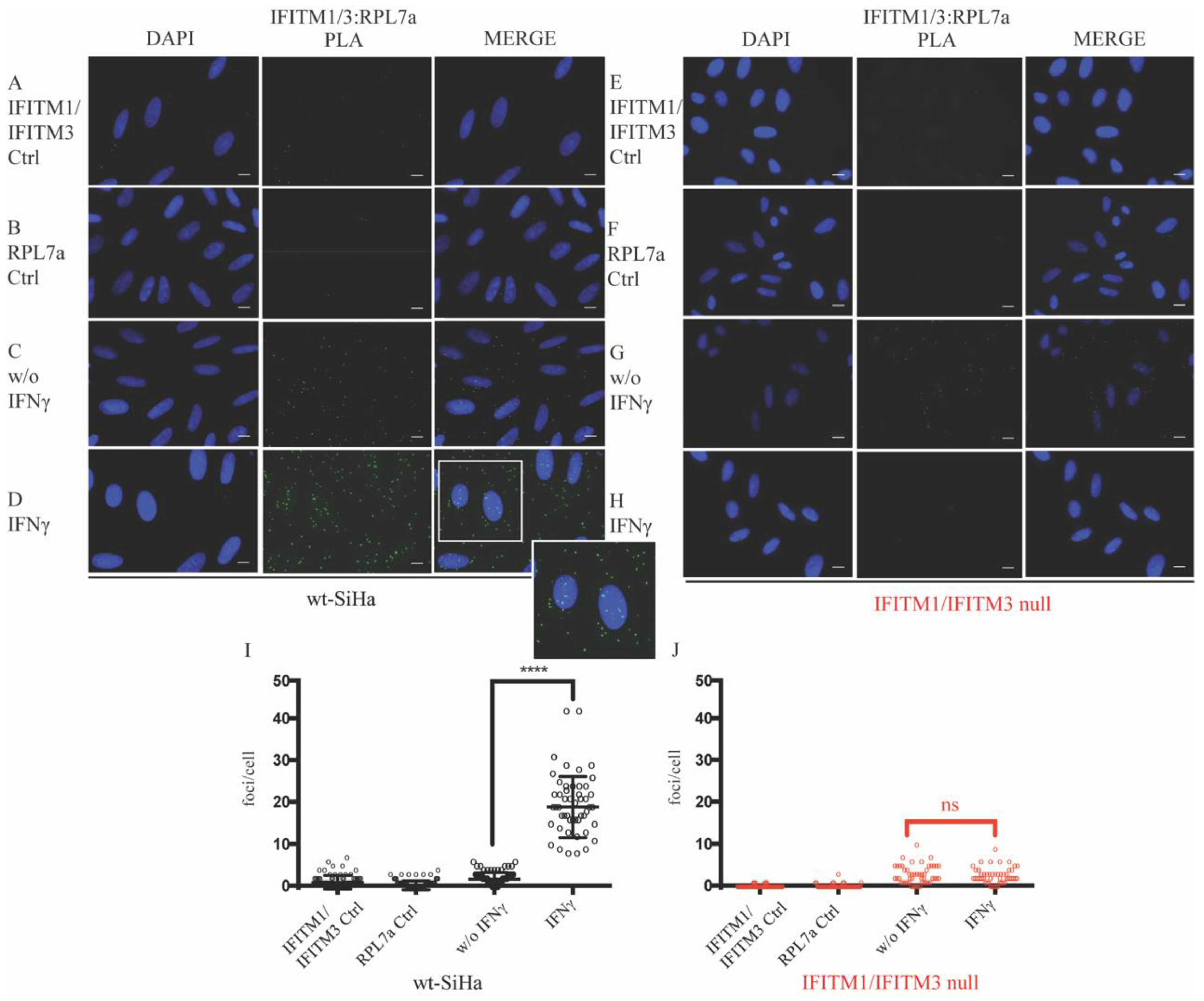 Biomolecules 12 01090 g004 550
