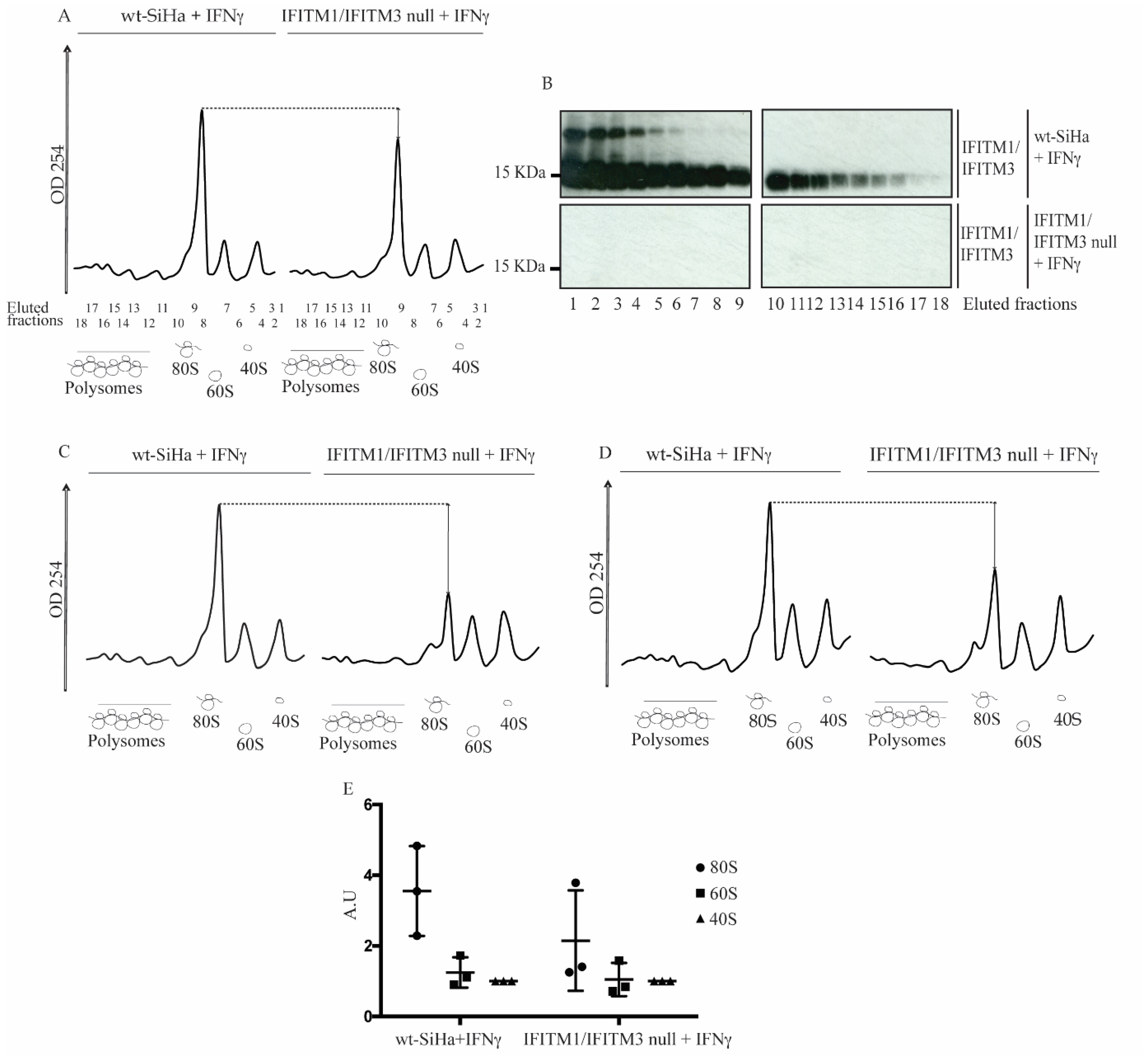 Biomolecules 12 01090 g005 550