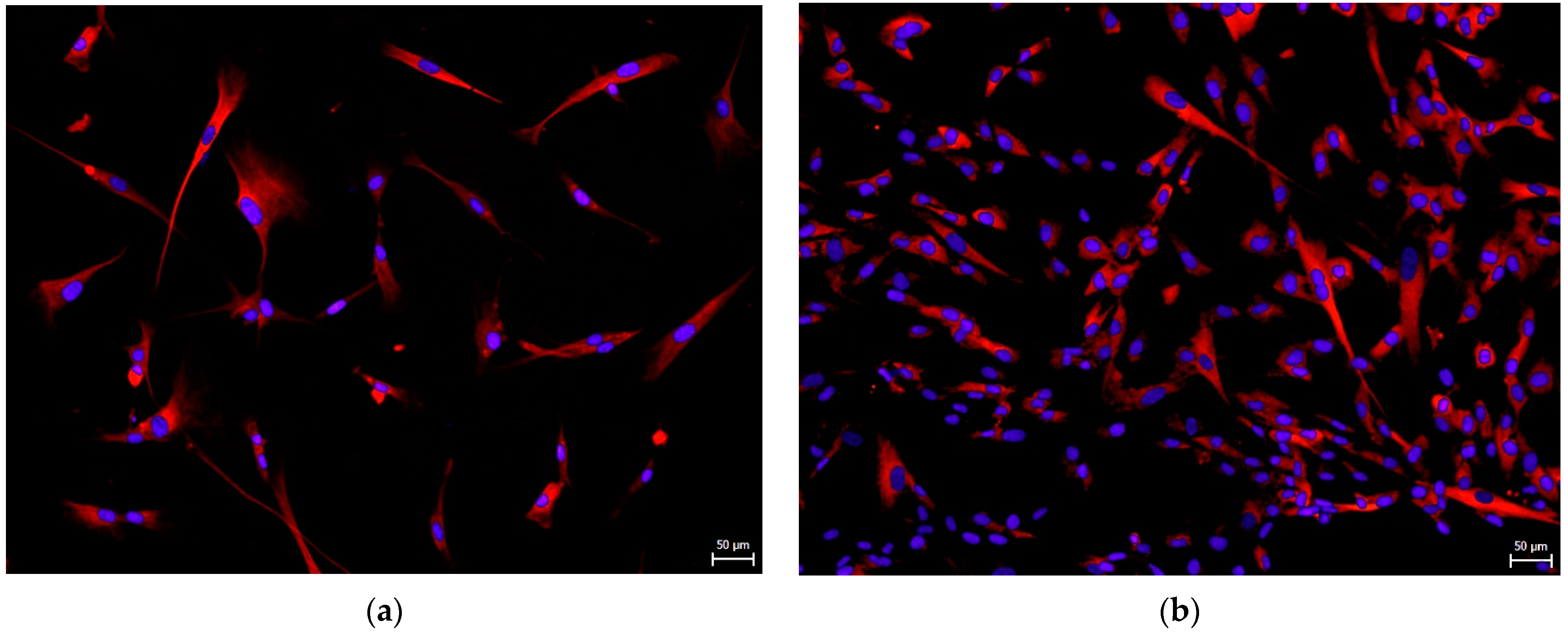 Biomolecules 12 01091 g005