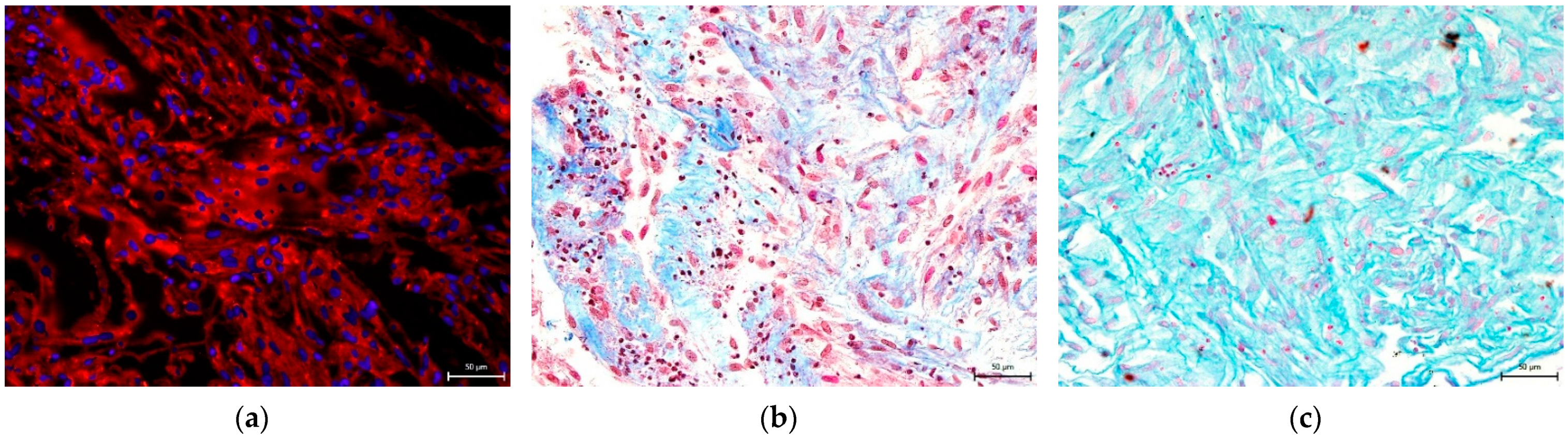 Biomolecules 12 01091 g010a