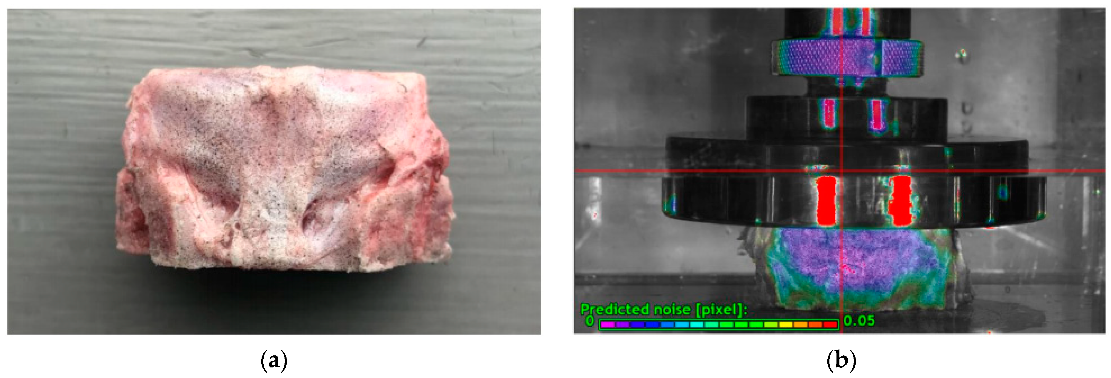 Biomolecules 12 01097 g002 Biomolecules 12 01097 g002