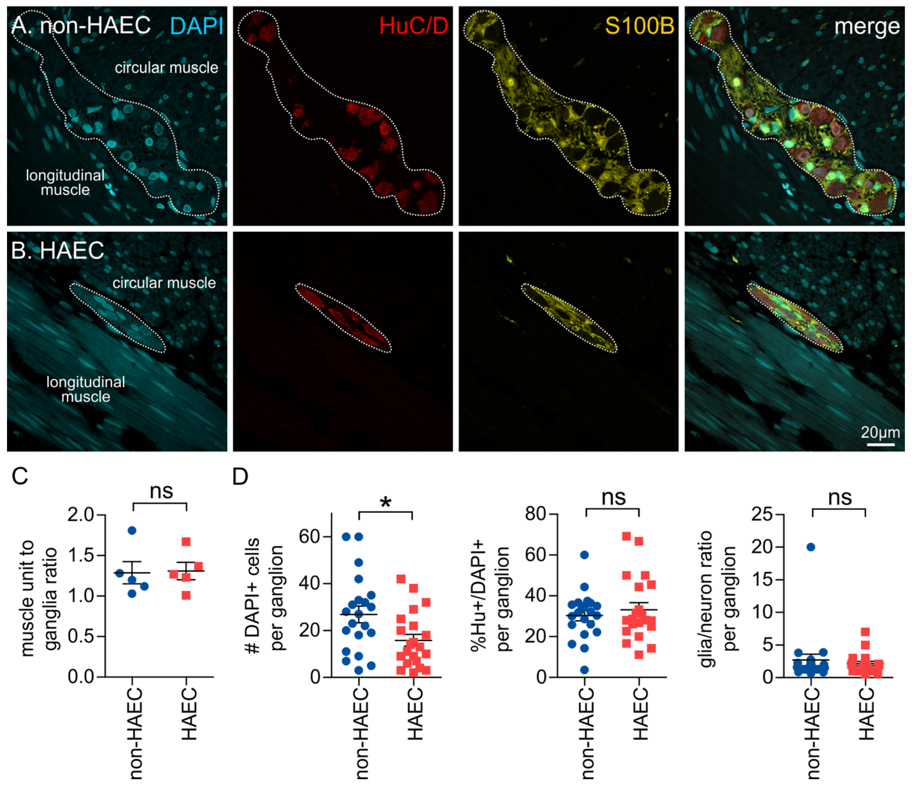 Biomolecules 12 01101 g004