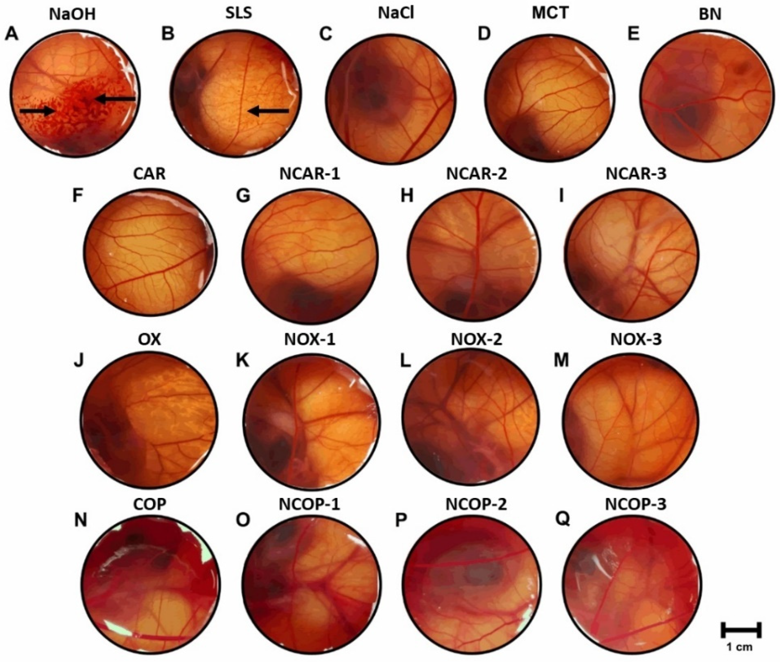 Biomolecules 12 01102 g004 550