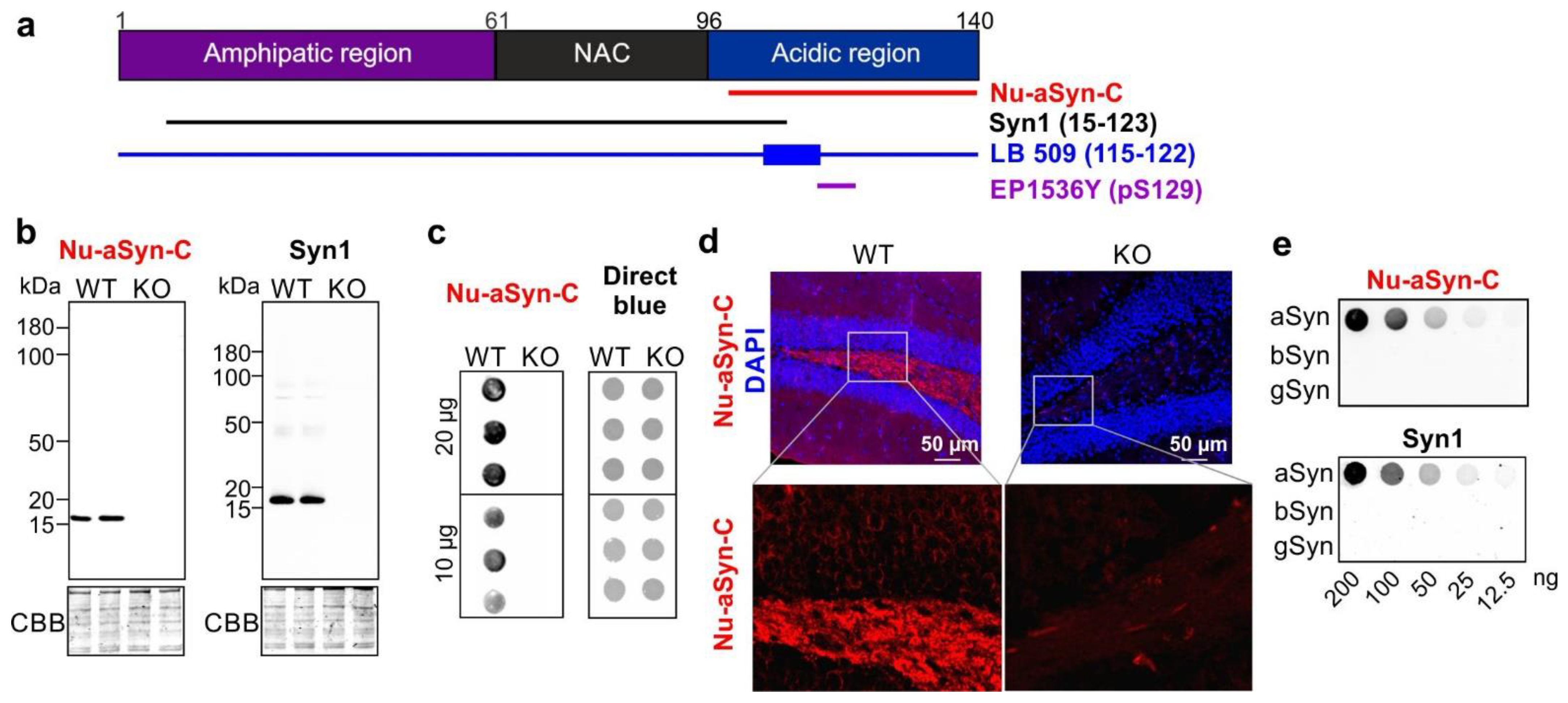 Biomolecules 12 01108 g001