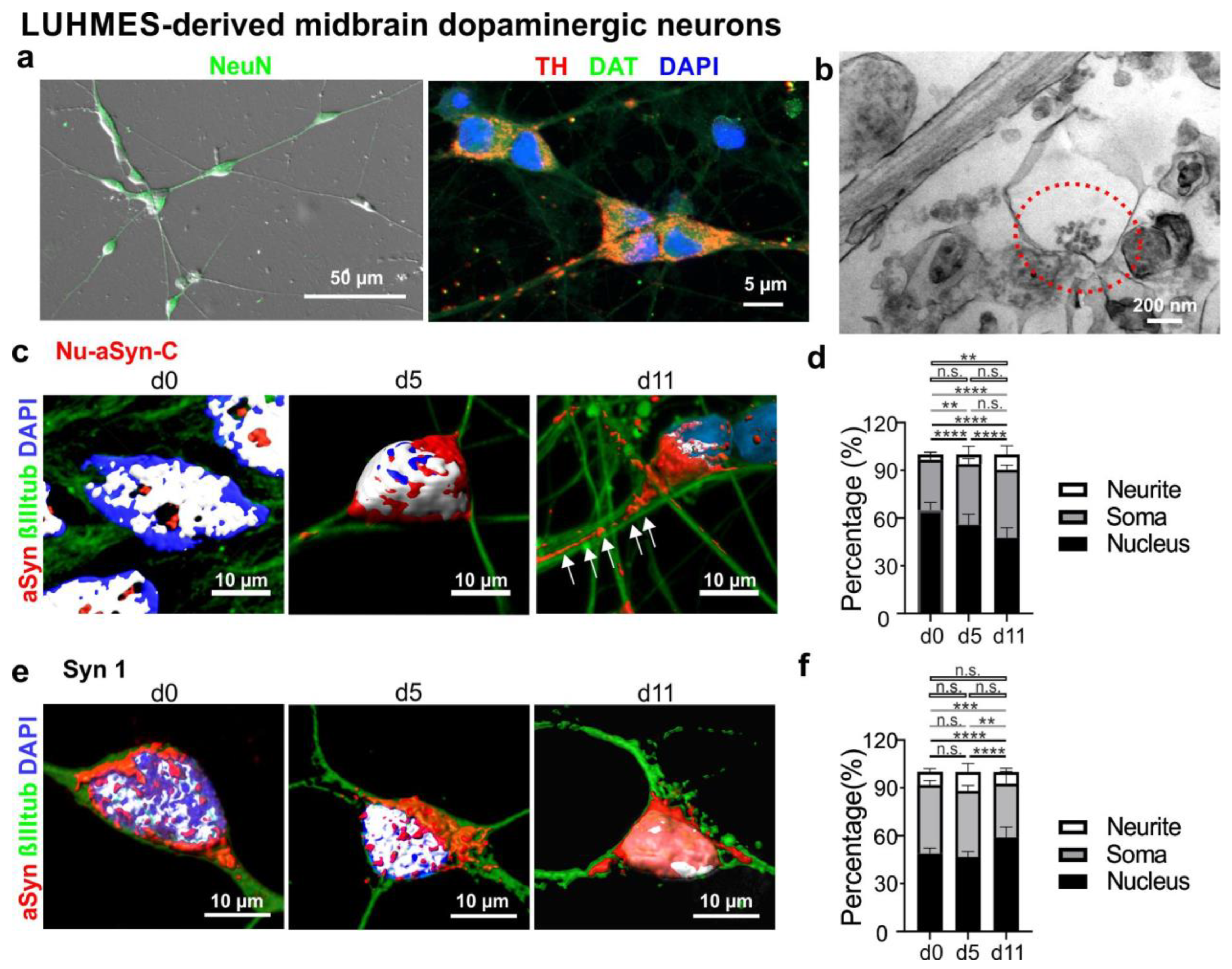 Biomolecules 12 01108 g004