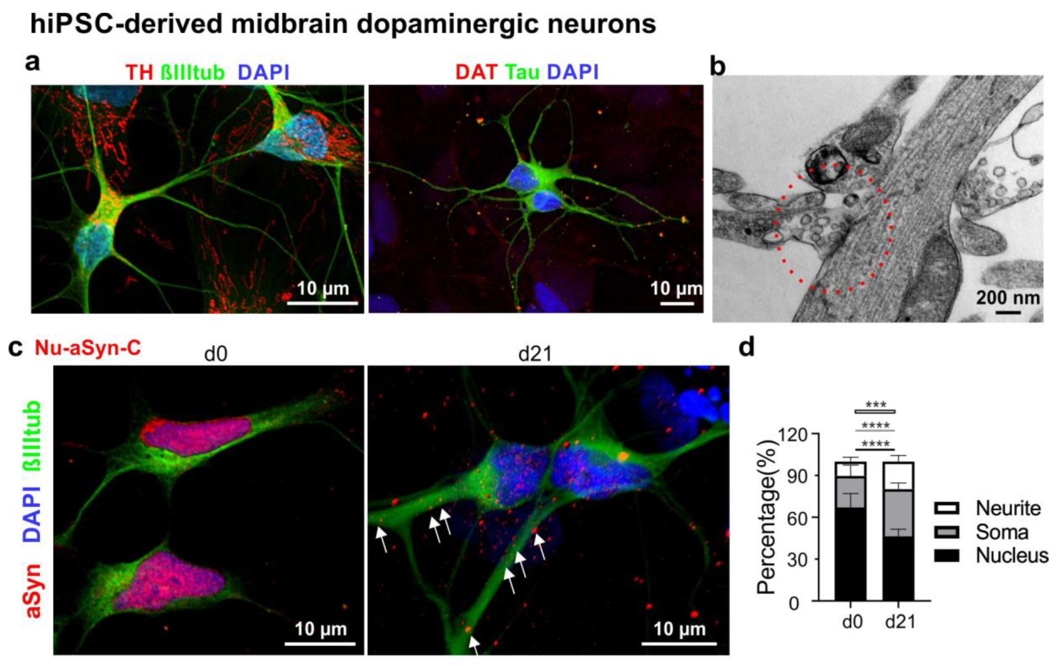 Biomolecules 12 01108 g005