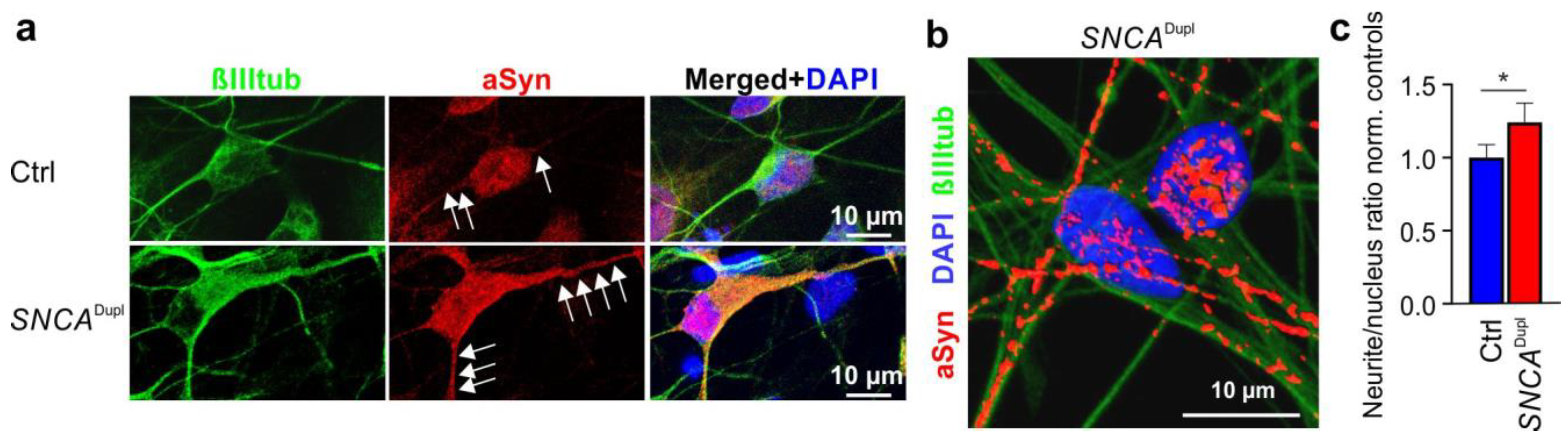 Biomolecules 12 01108 g006