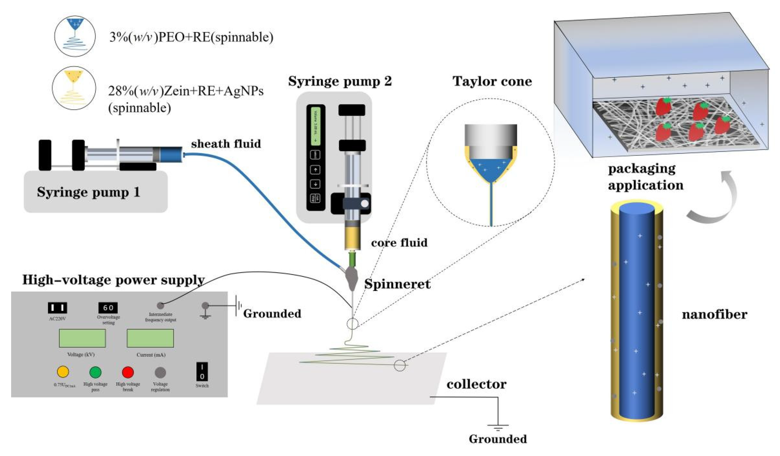 Biomolecules 12 01110 g001