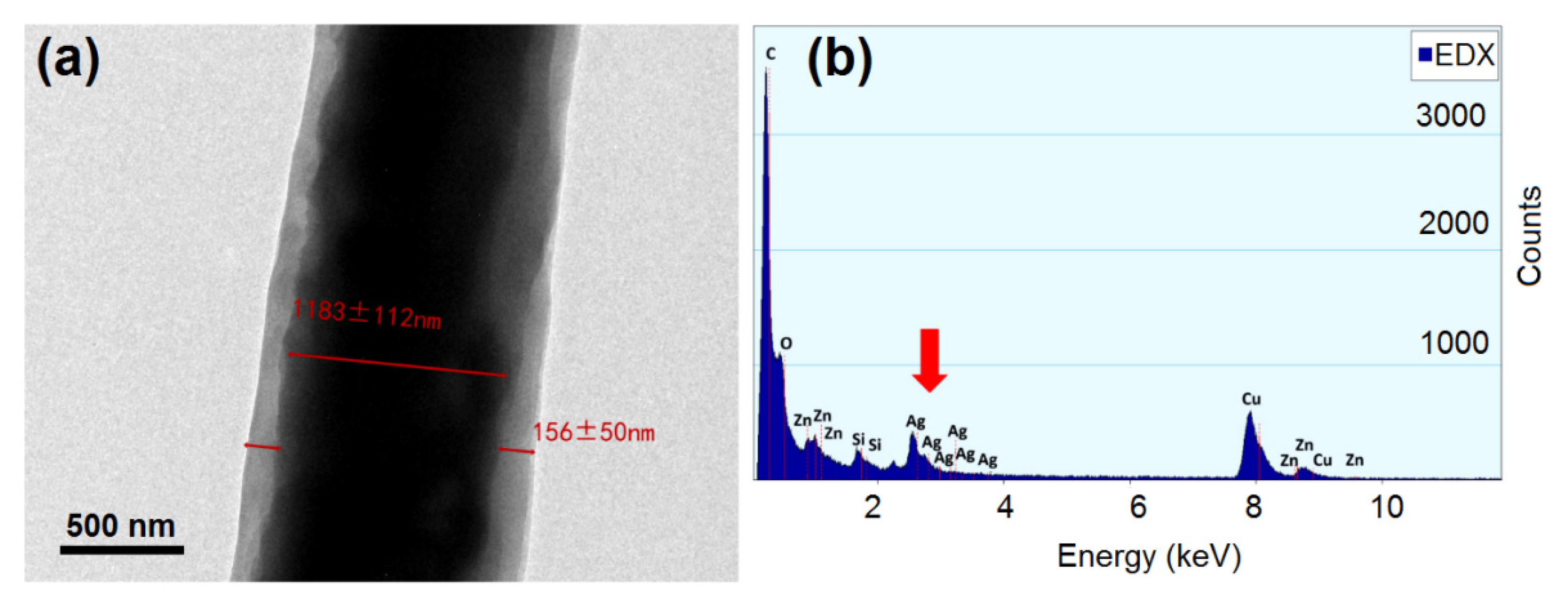 Biomolecules 12 01110 g005