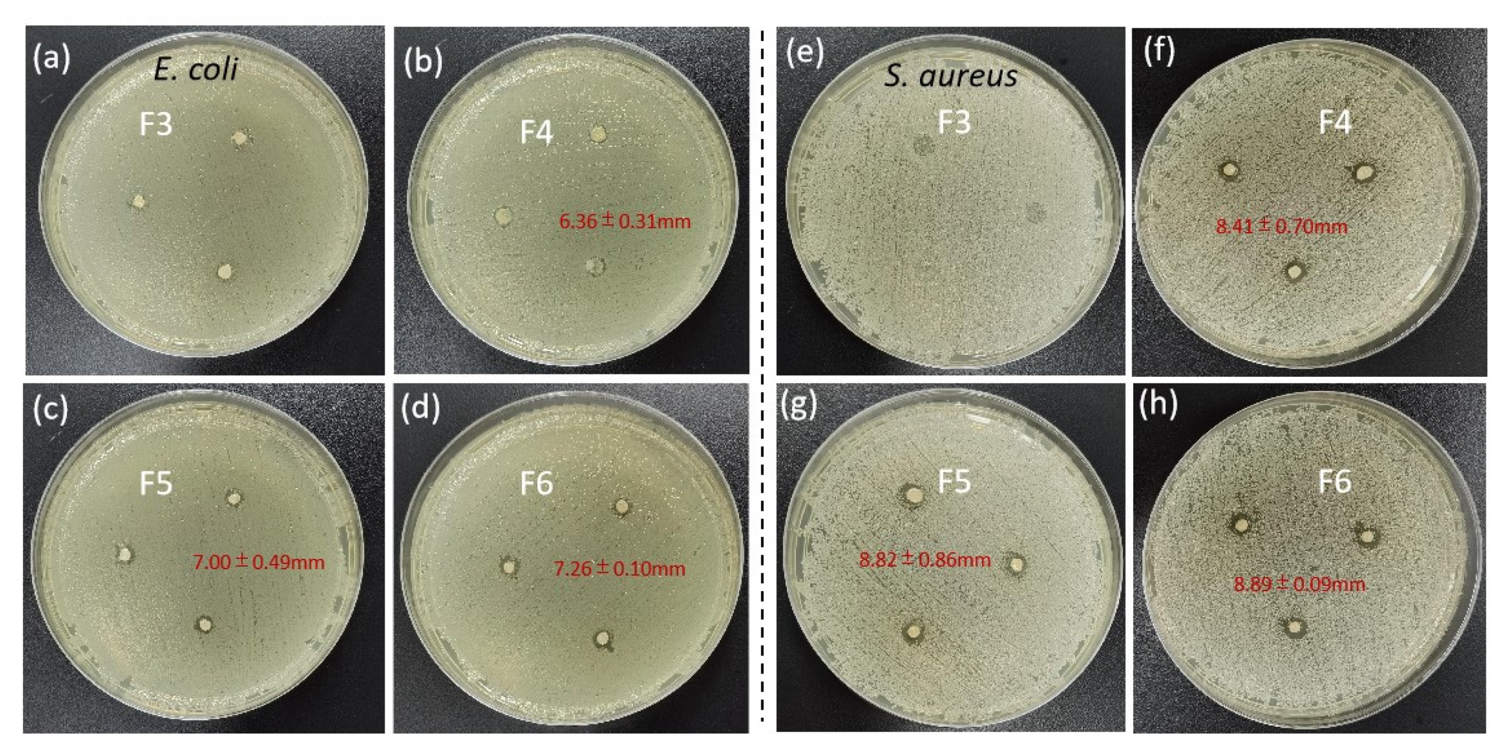 Biomolecules 12 01110 g009