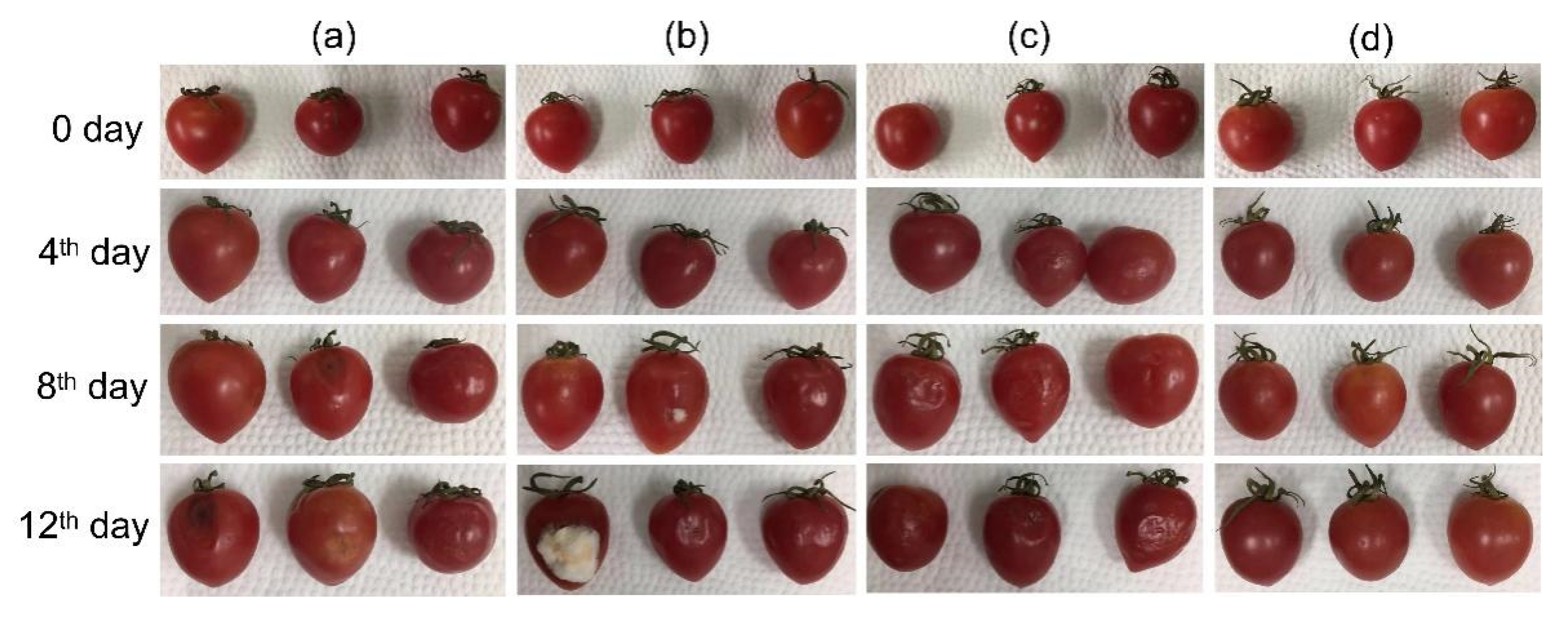 Biomolecules 12 01110 g010