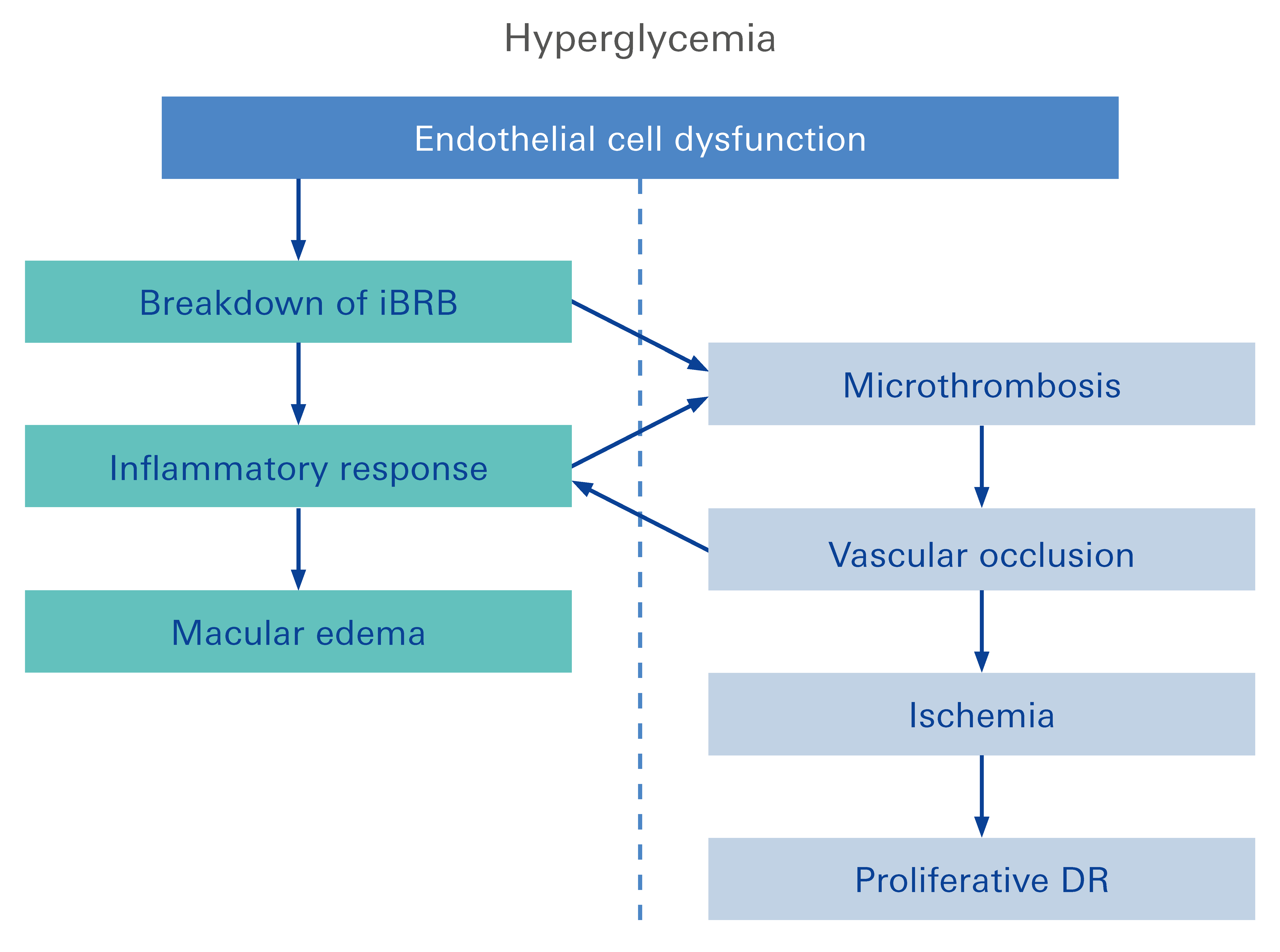 Biomolecules 12 01113 g004 Biomolecules 12 01113 g004