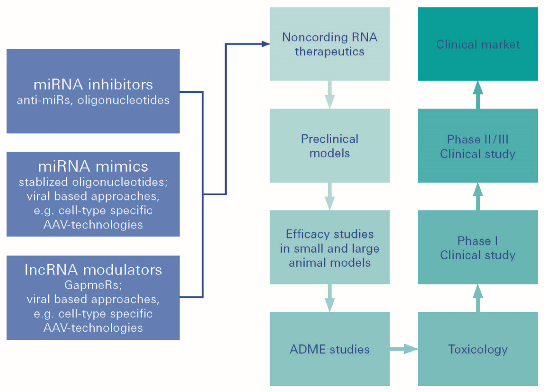 Biomolecules 12 01113 g005 Biomolecules 12 01113 g005