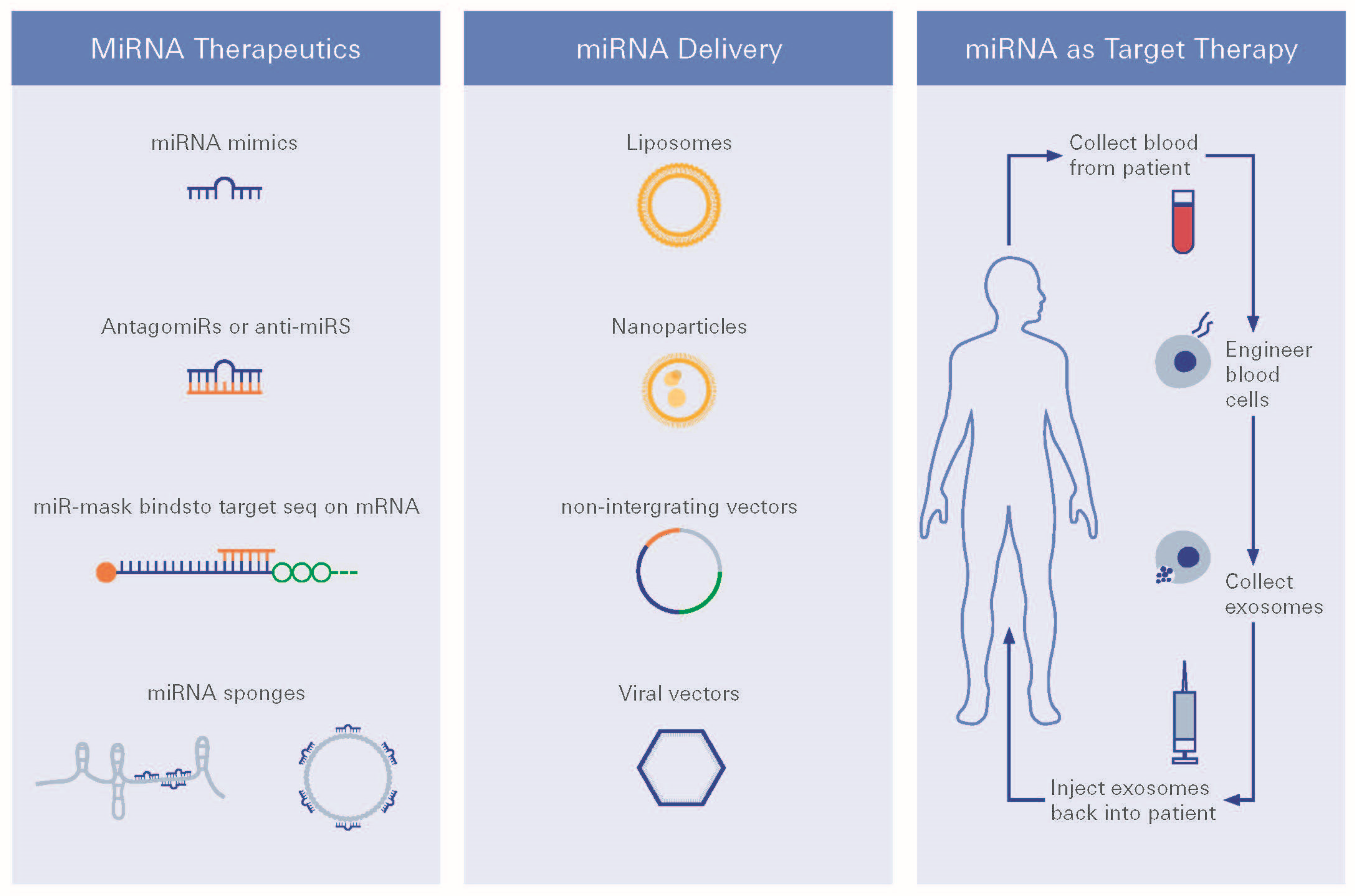 Biomolecules 12 01113 g006 Biomolecules 12 01113 g006