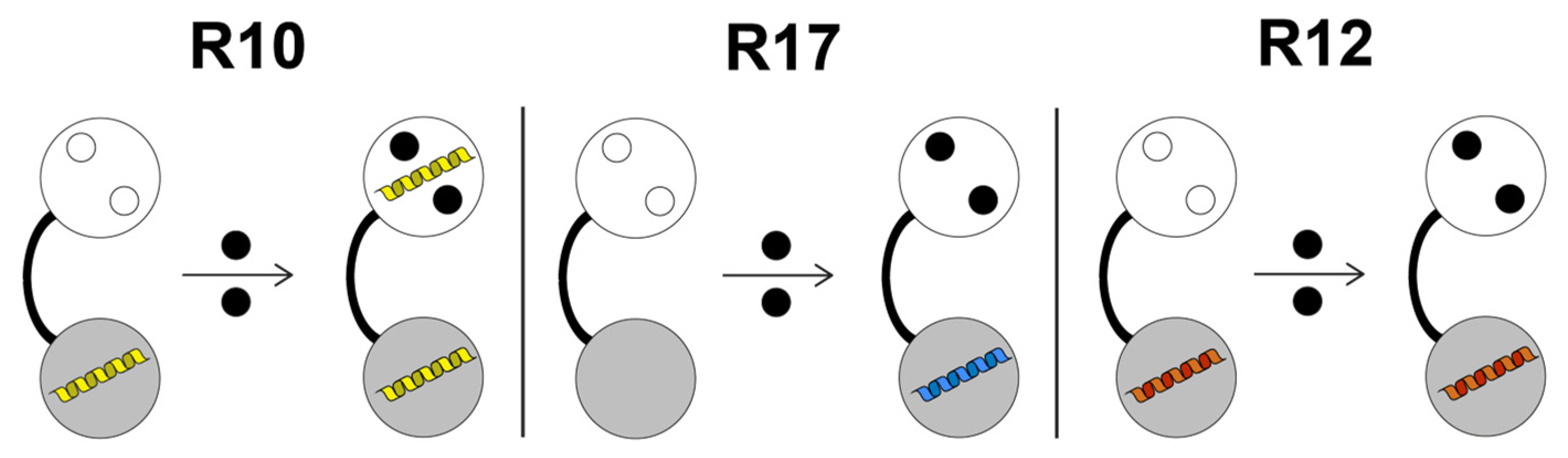 Biomolecules 12 01115 g007 Biomolecules 12 01115 g007