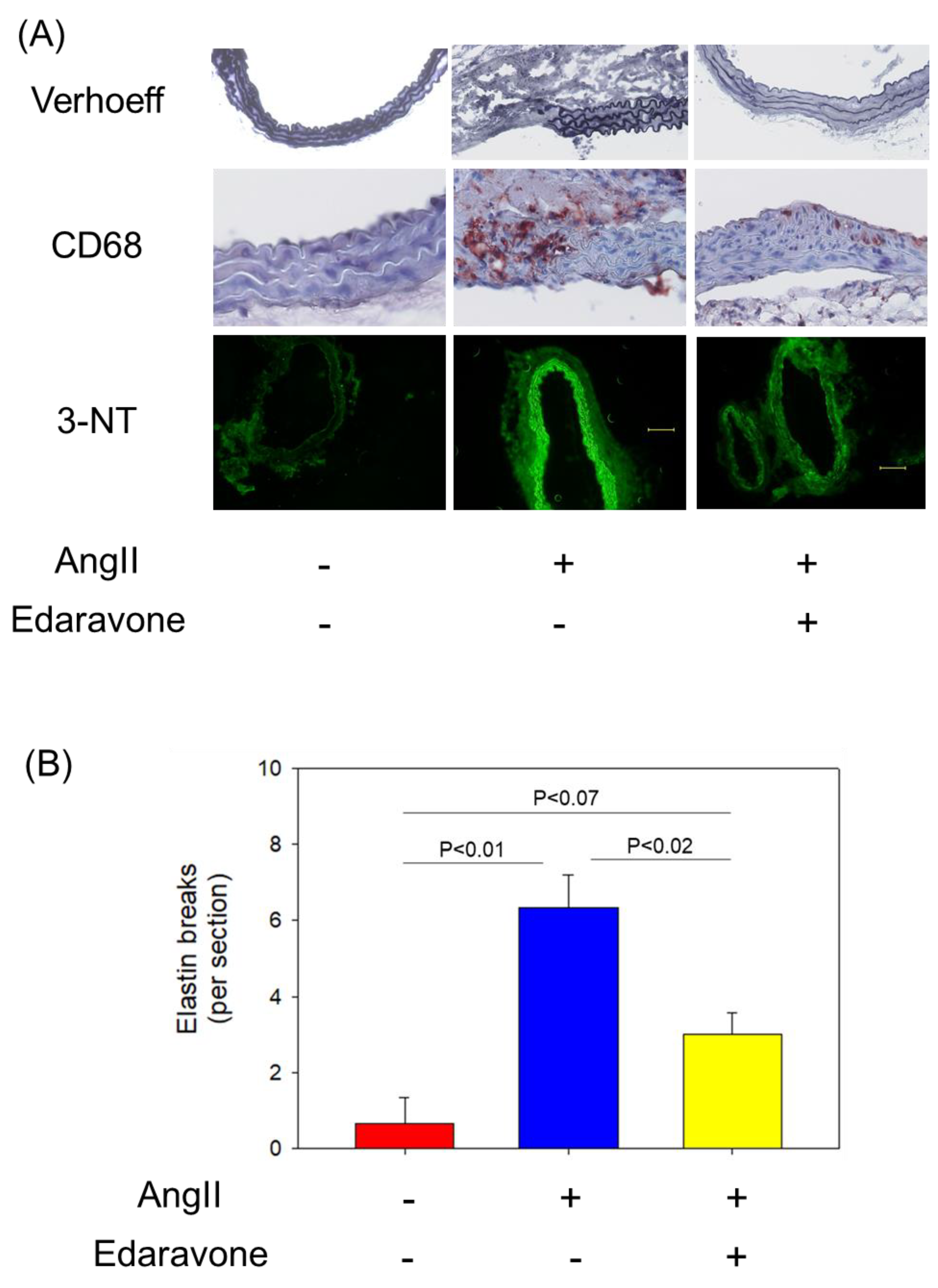 Biomolecules 12 01117 g003 Biomolecules 12 01117 g003