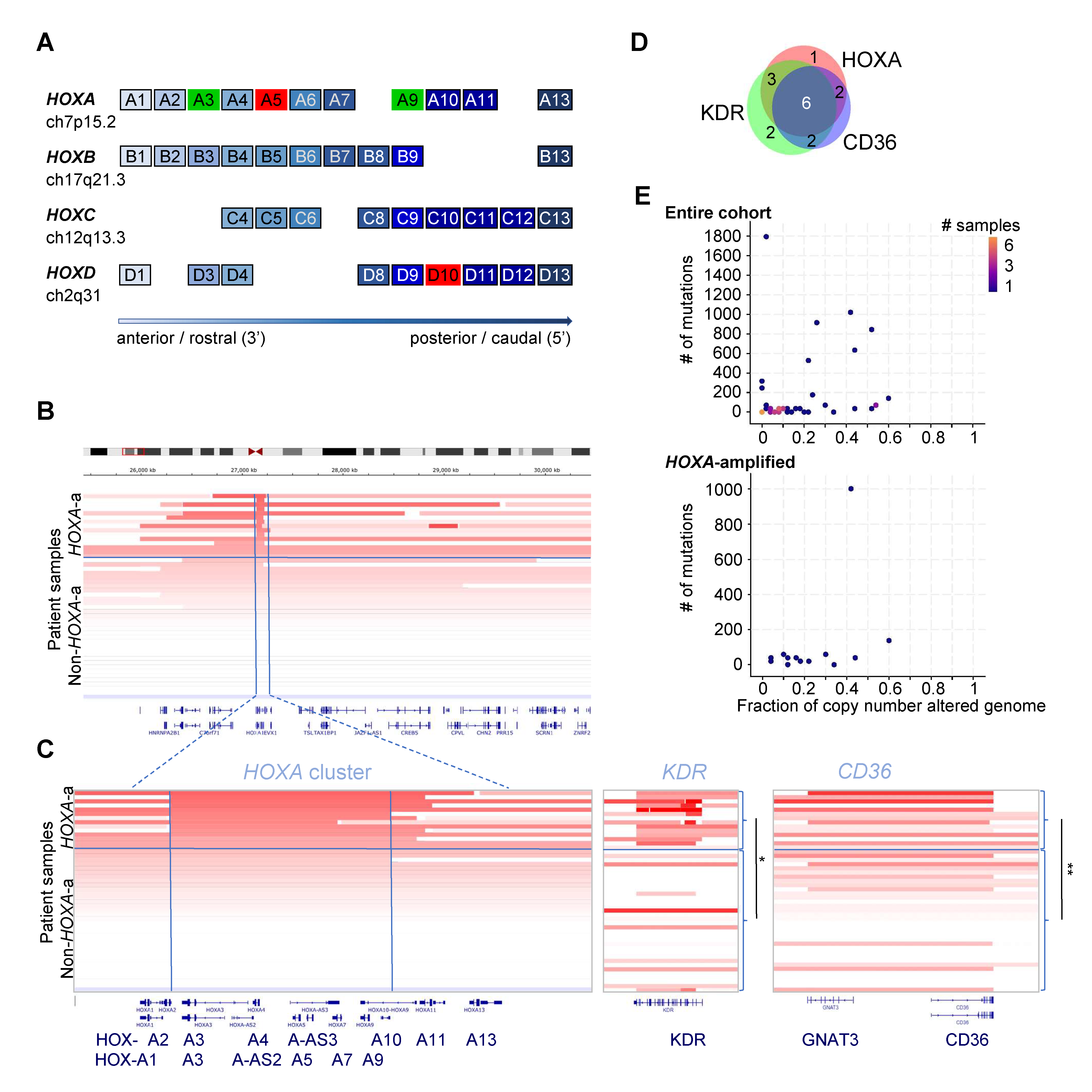 Biomolecules 12 01124 g001 Biomolecules 12 01124 g001