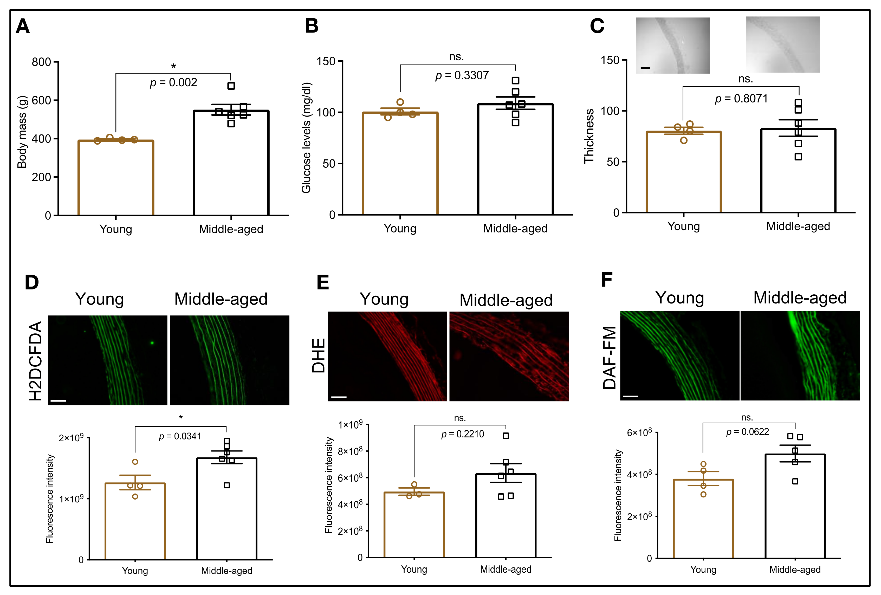 Biomolecules 12 01125 g001
