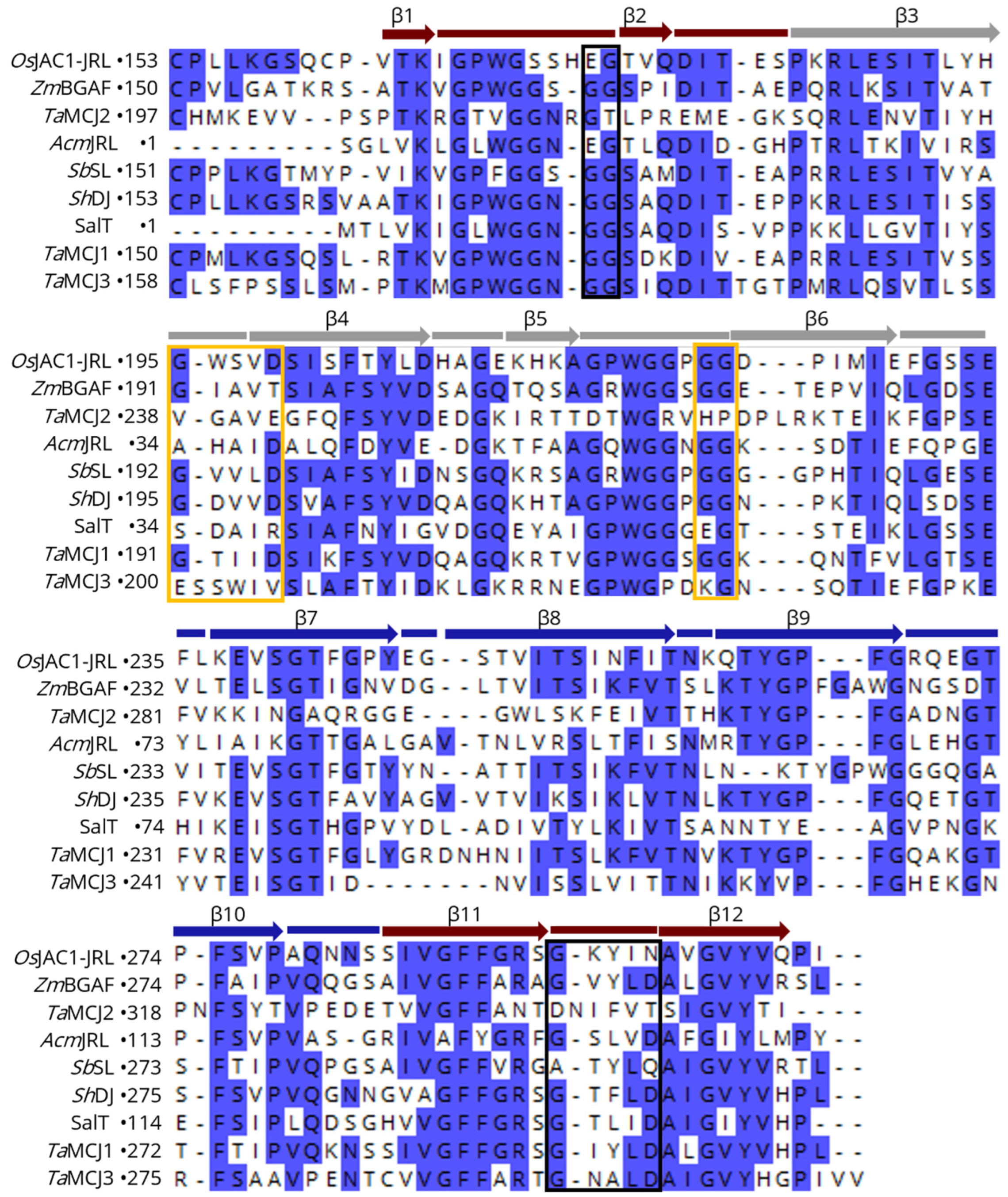 Biomolecules 12 01126 g005 Biomolecules 12 01126 g005