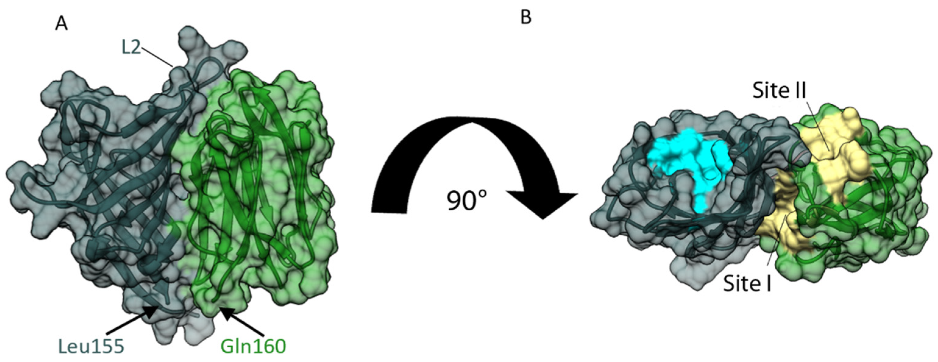 Biomolecules 12 01126 g006 Biomolecules 12 01126 g006