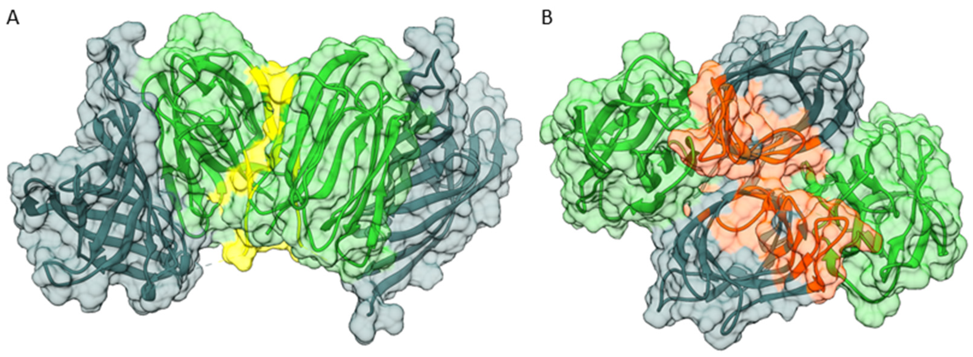 Biomolecules 12 01126 g007 Biomolecules 12 01126 g007