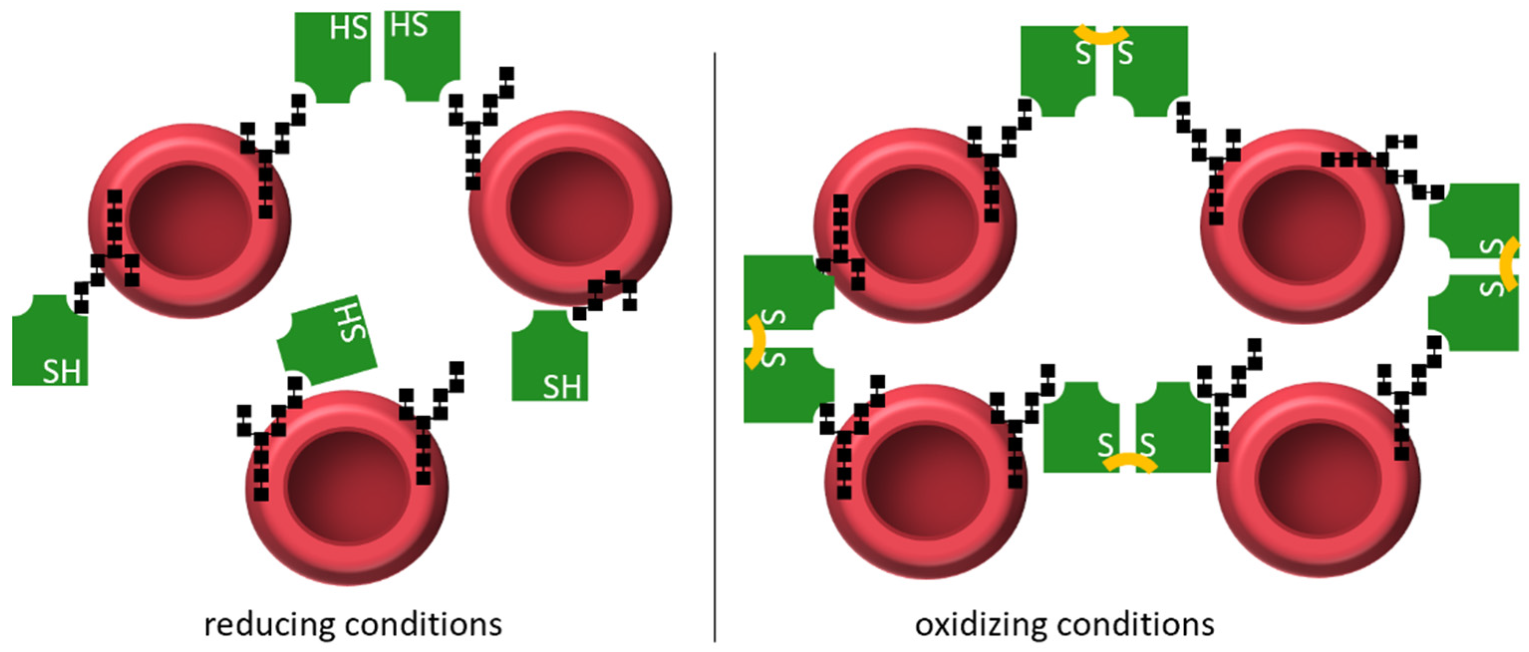 Biomolecules 12 01126 g008 Biomolecules 12 01126 g008