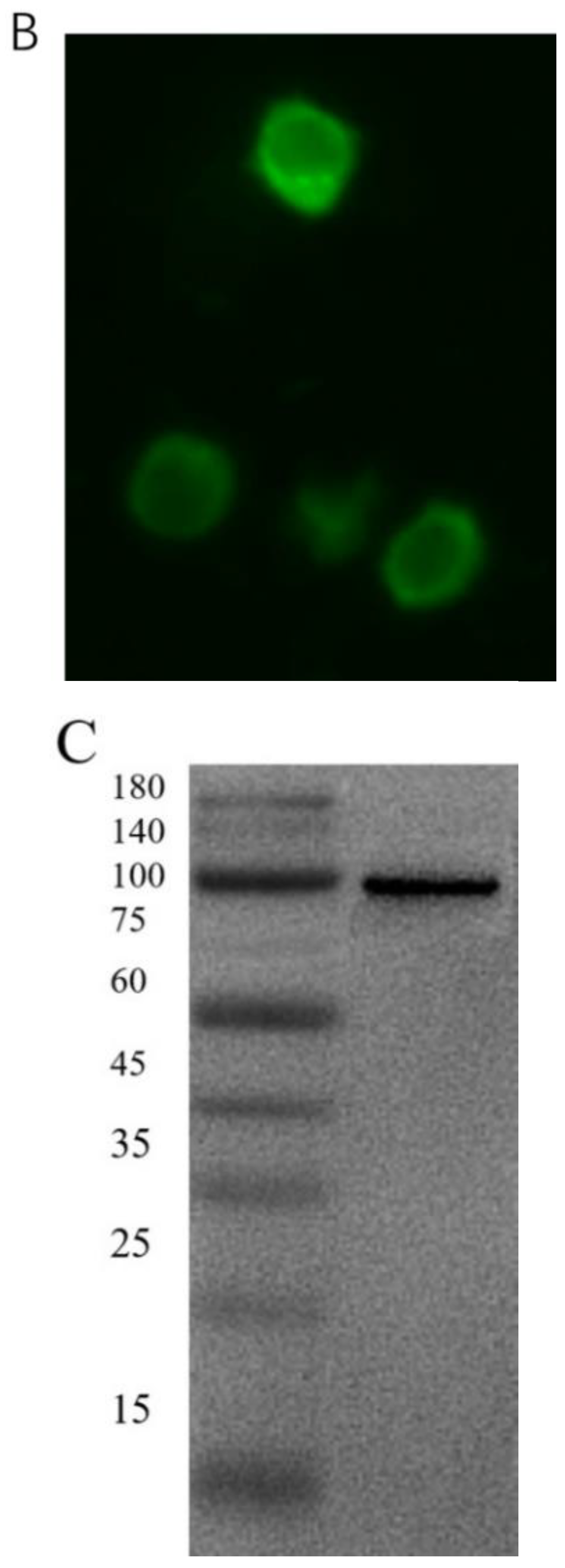 Biomolecules 12 01127 g001b