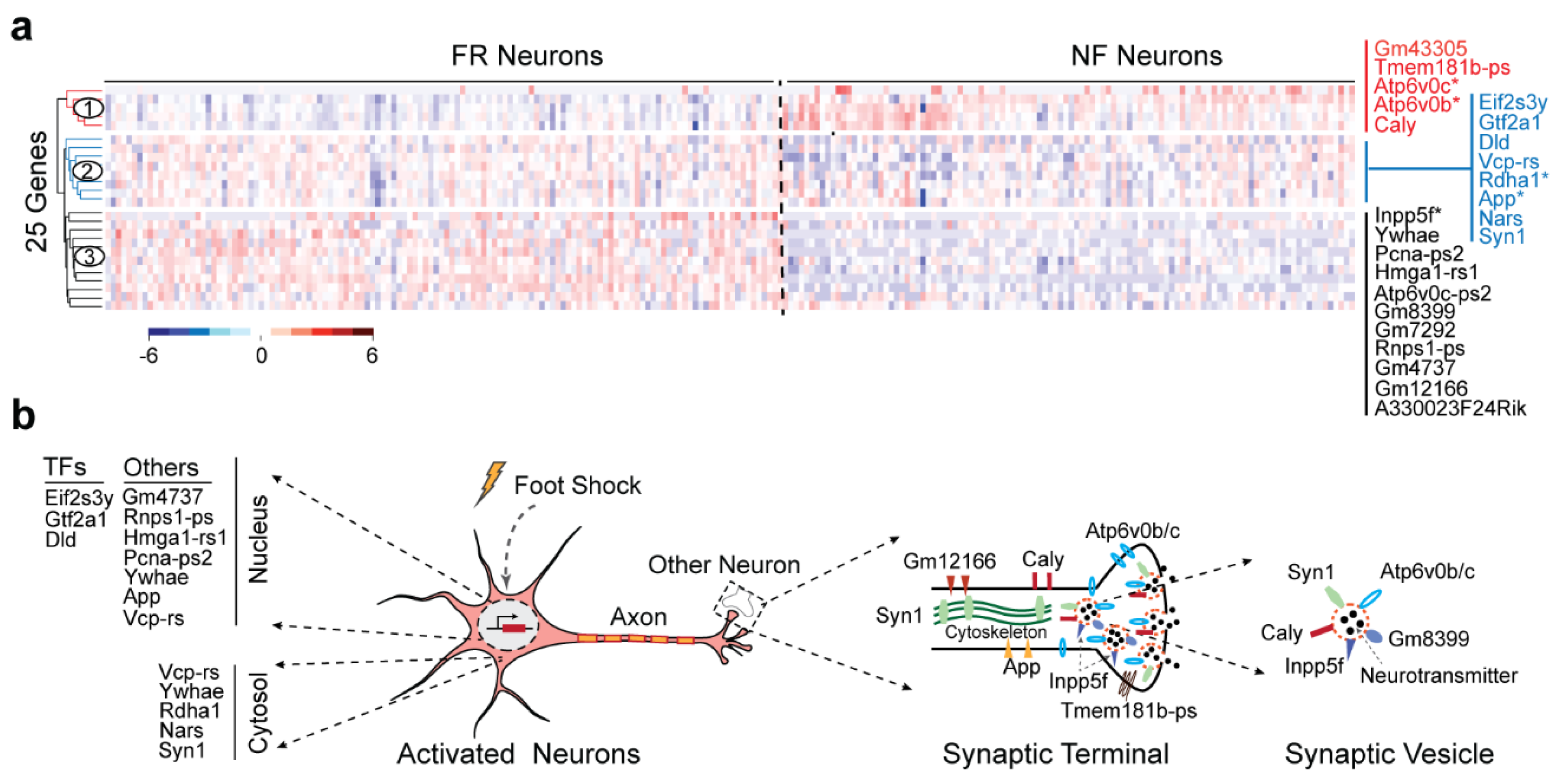 Biomolecules 12 01130 g004 Biomolecules 12 01130 g004