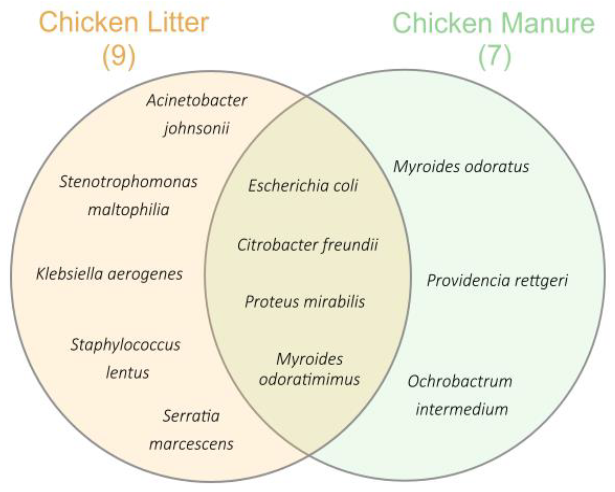 Biomolecules 12 01132 g001
