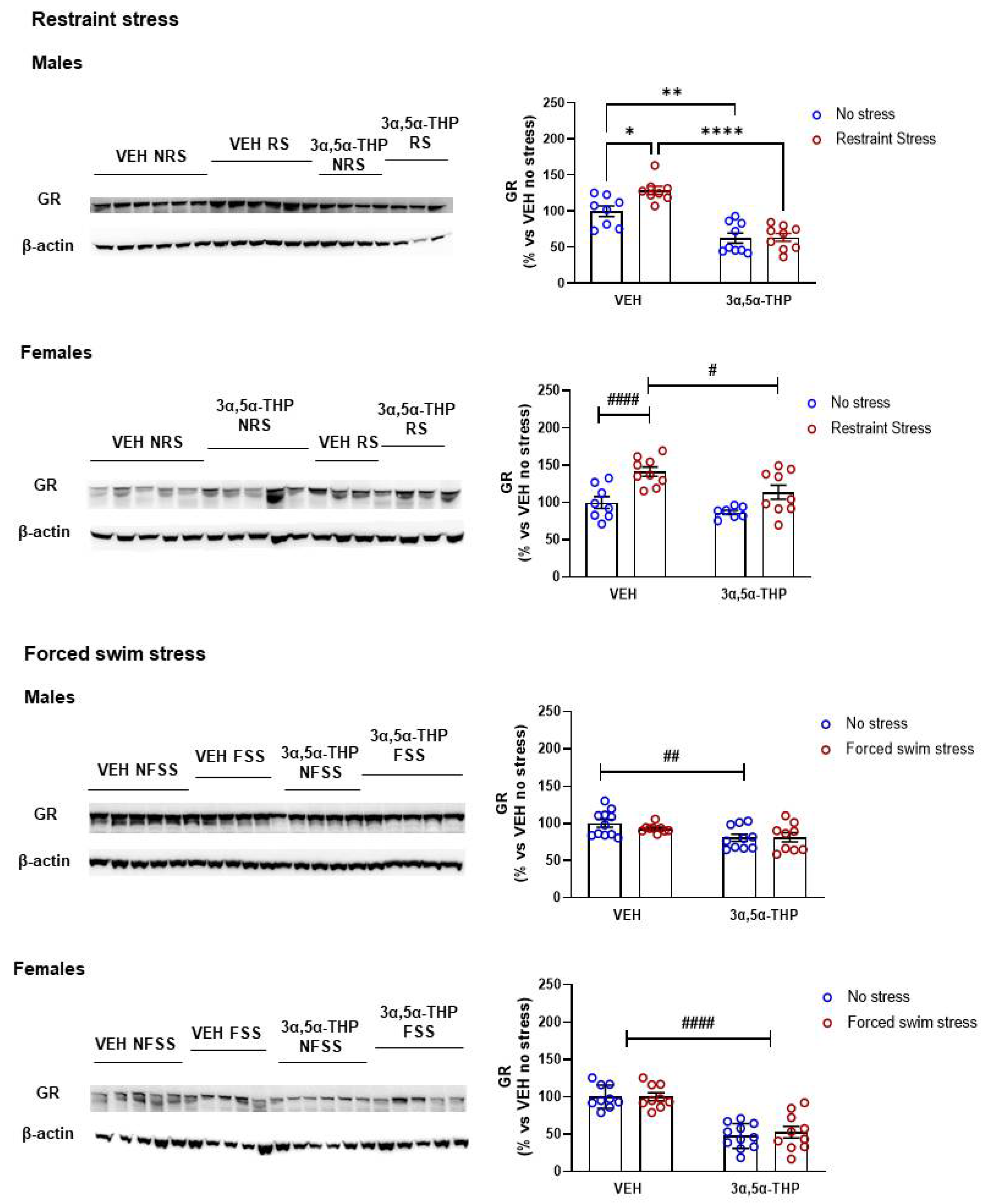 Biomolecules 12 01134 g002 Biomolecules 12 01134 g002