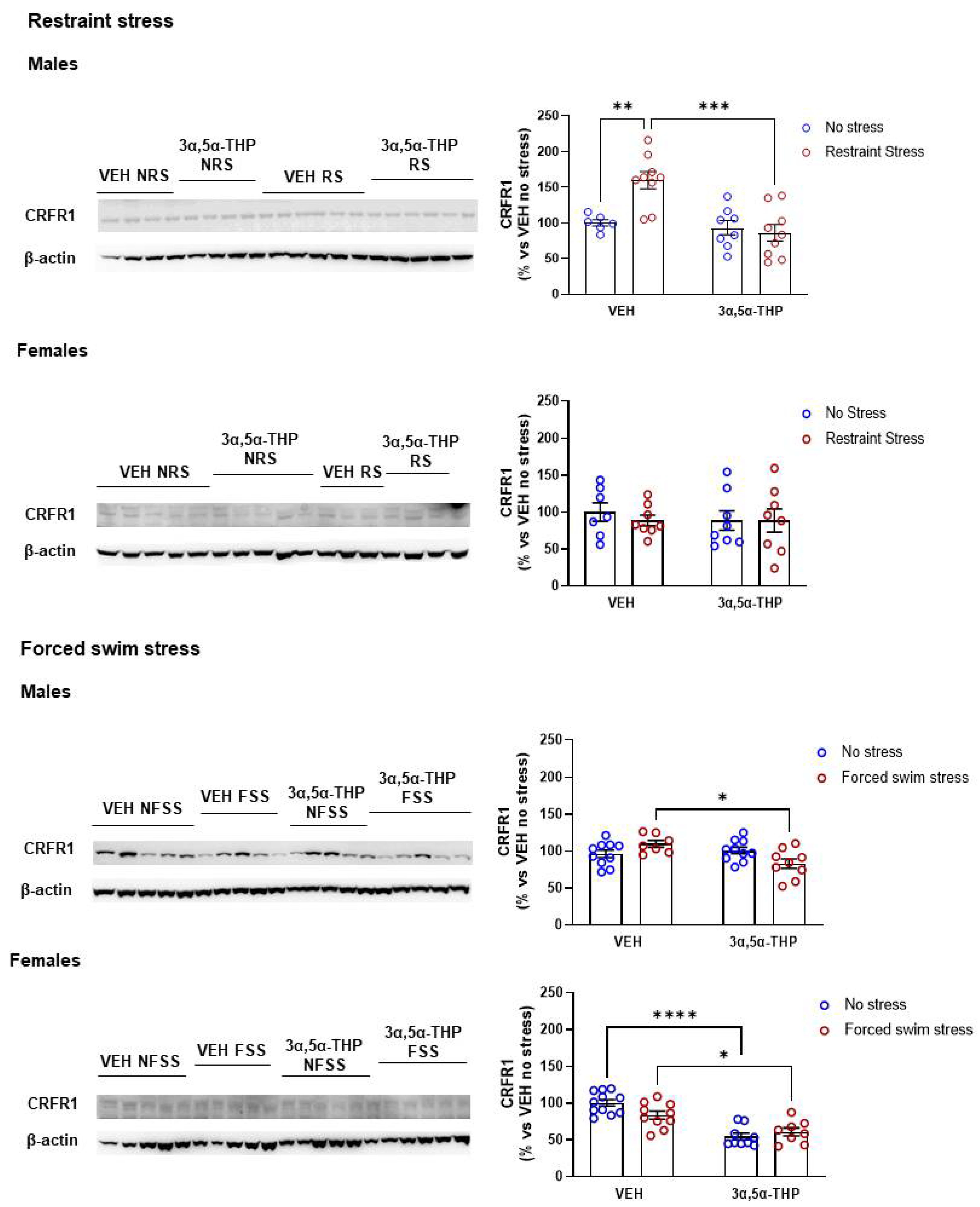 Biomolecules 12 01134 g004 Biomolecules 12 01134 g004