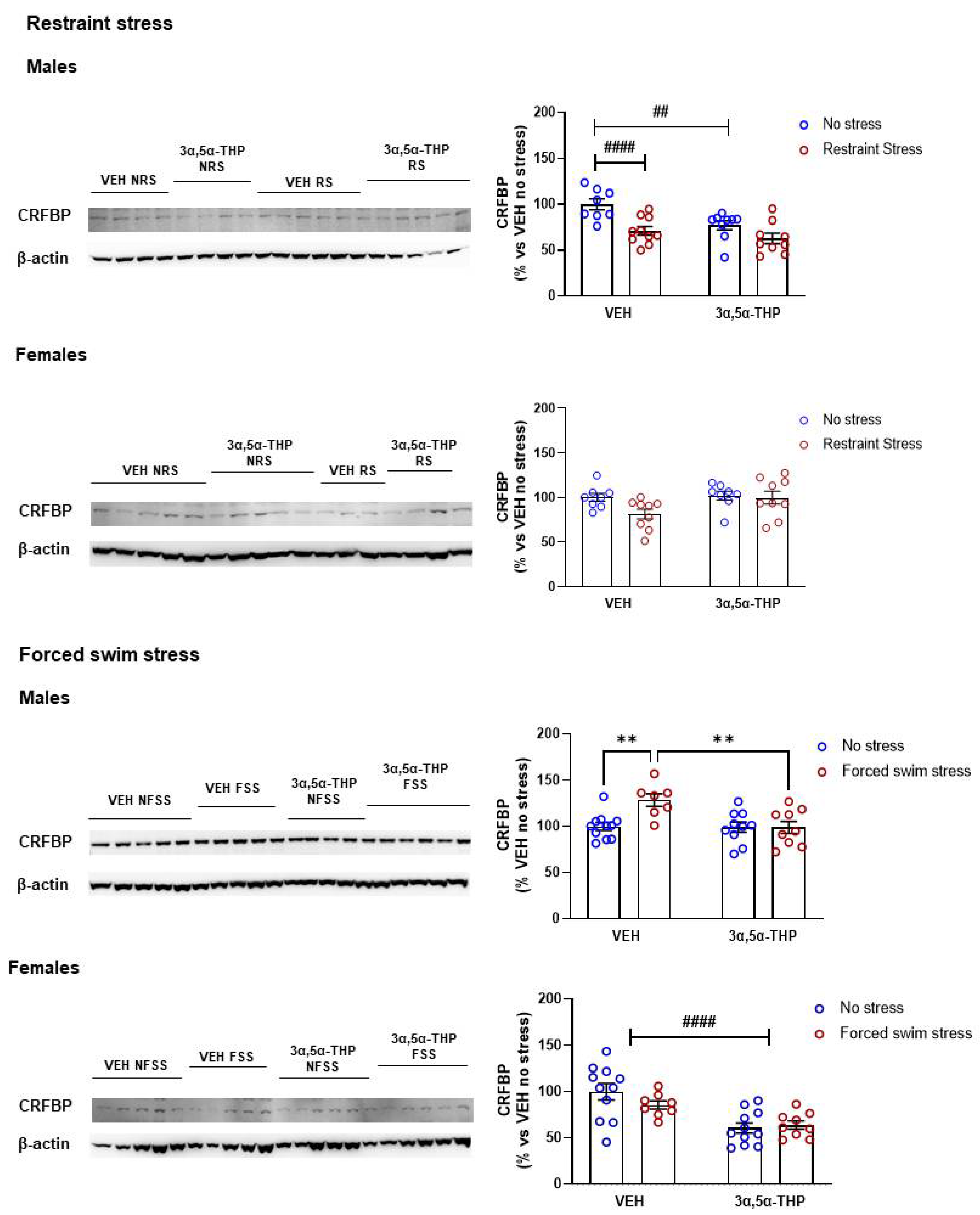 Biomolecules 12 01134 g005 Biomolecules 12 01134 g005