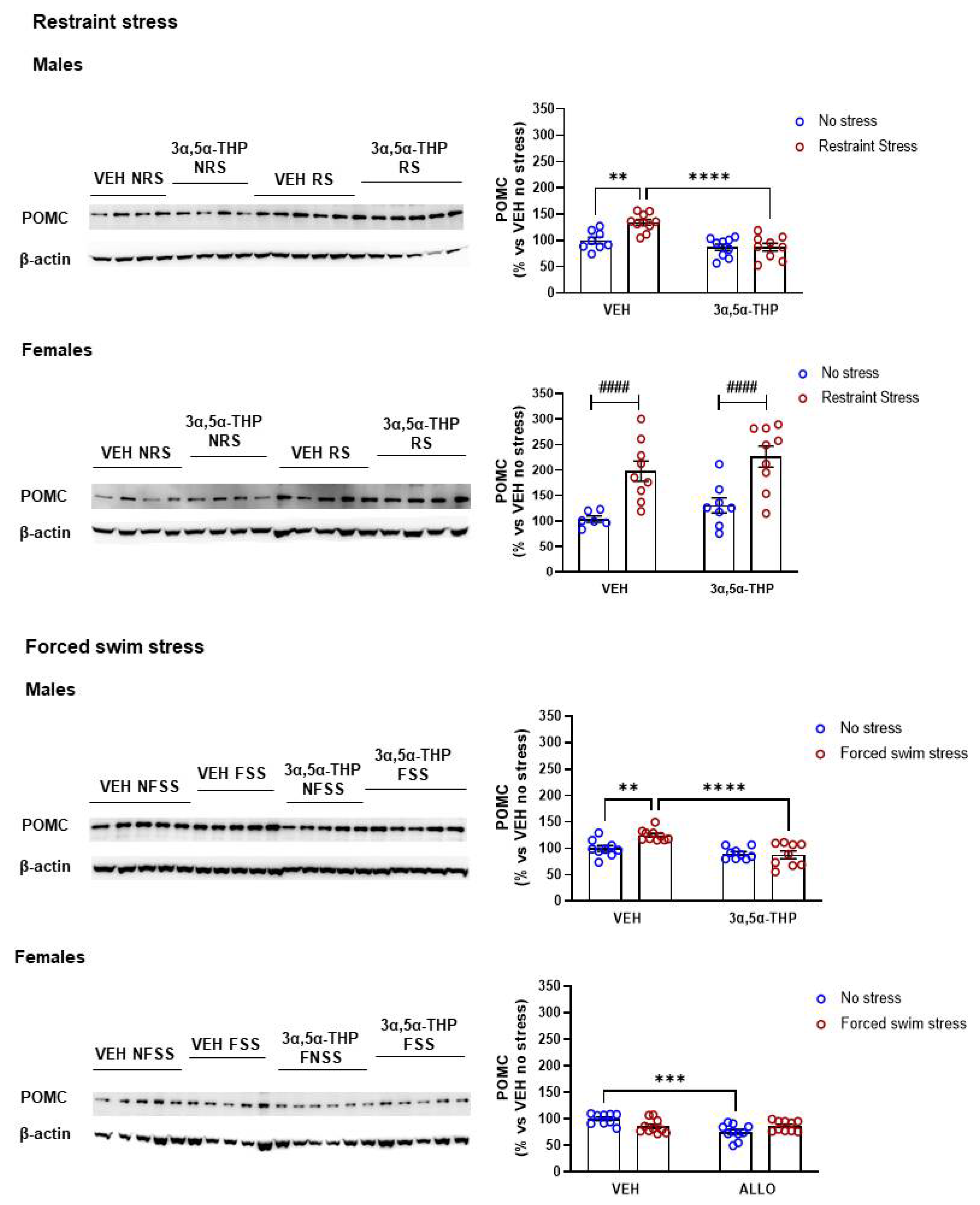 Biomolecules 12 01134 g006 Biomolecules 12 01134 g006